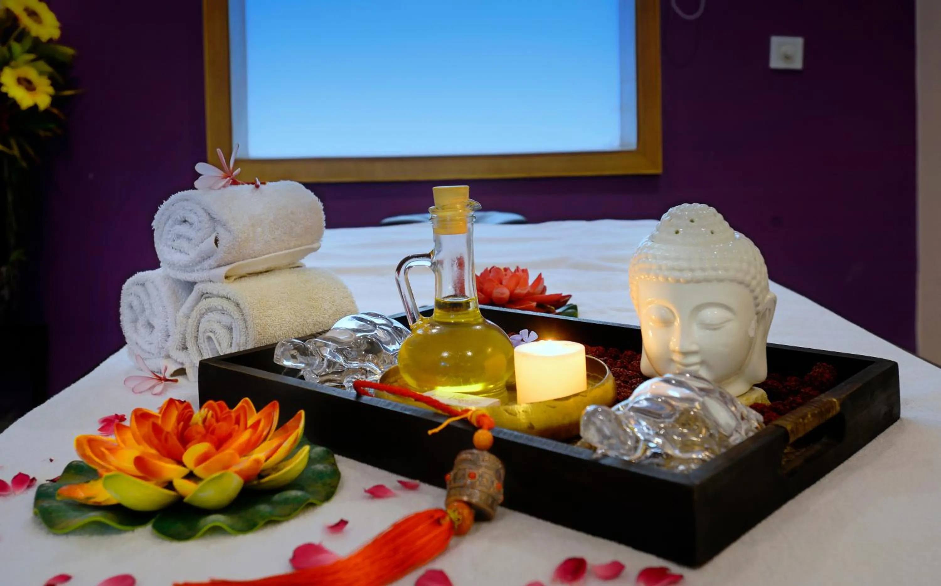 Spa and wellness centre/facilities in The Tigress, Ranthambore