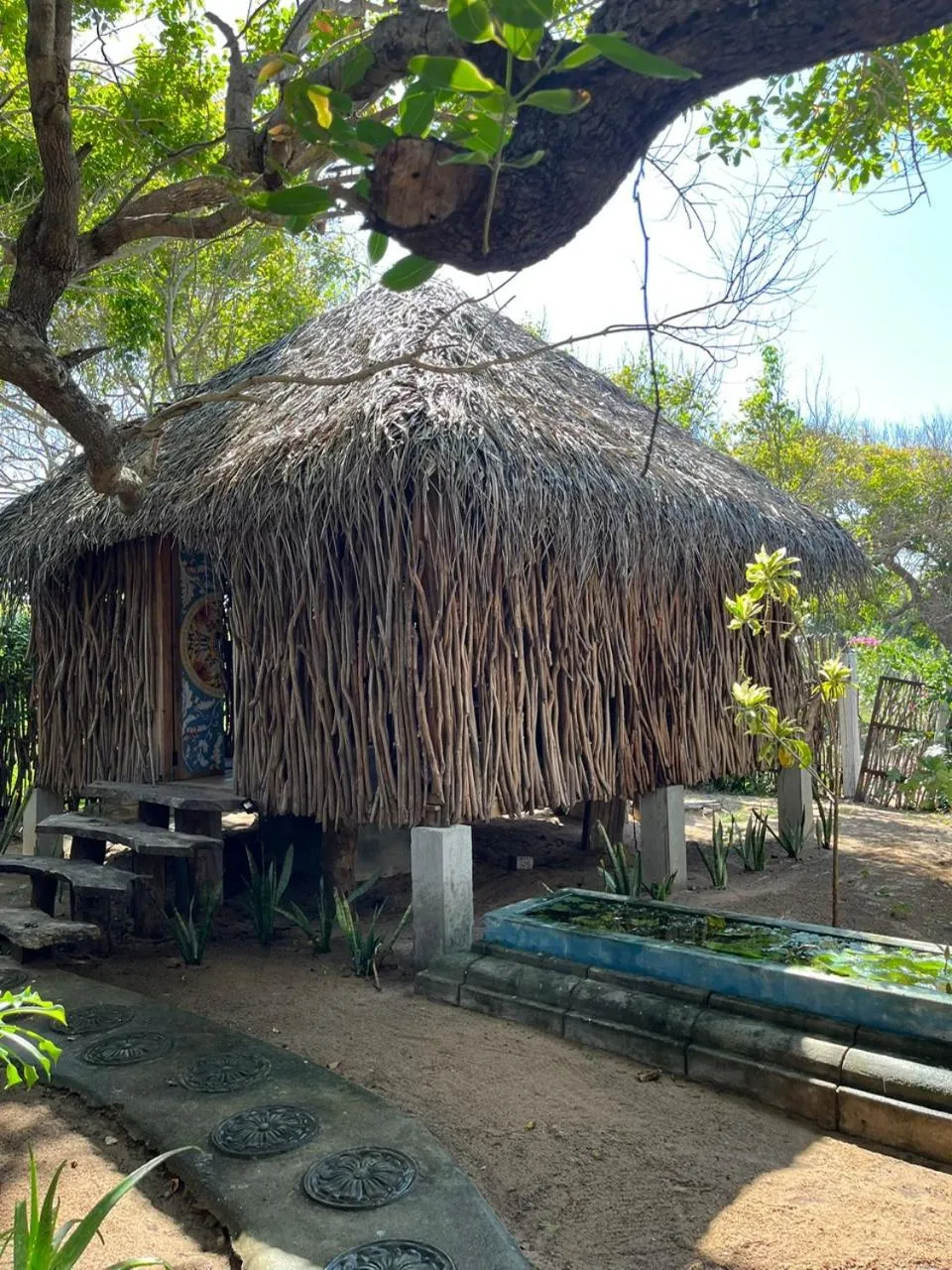 Massage in Amanta Beach