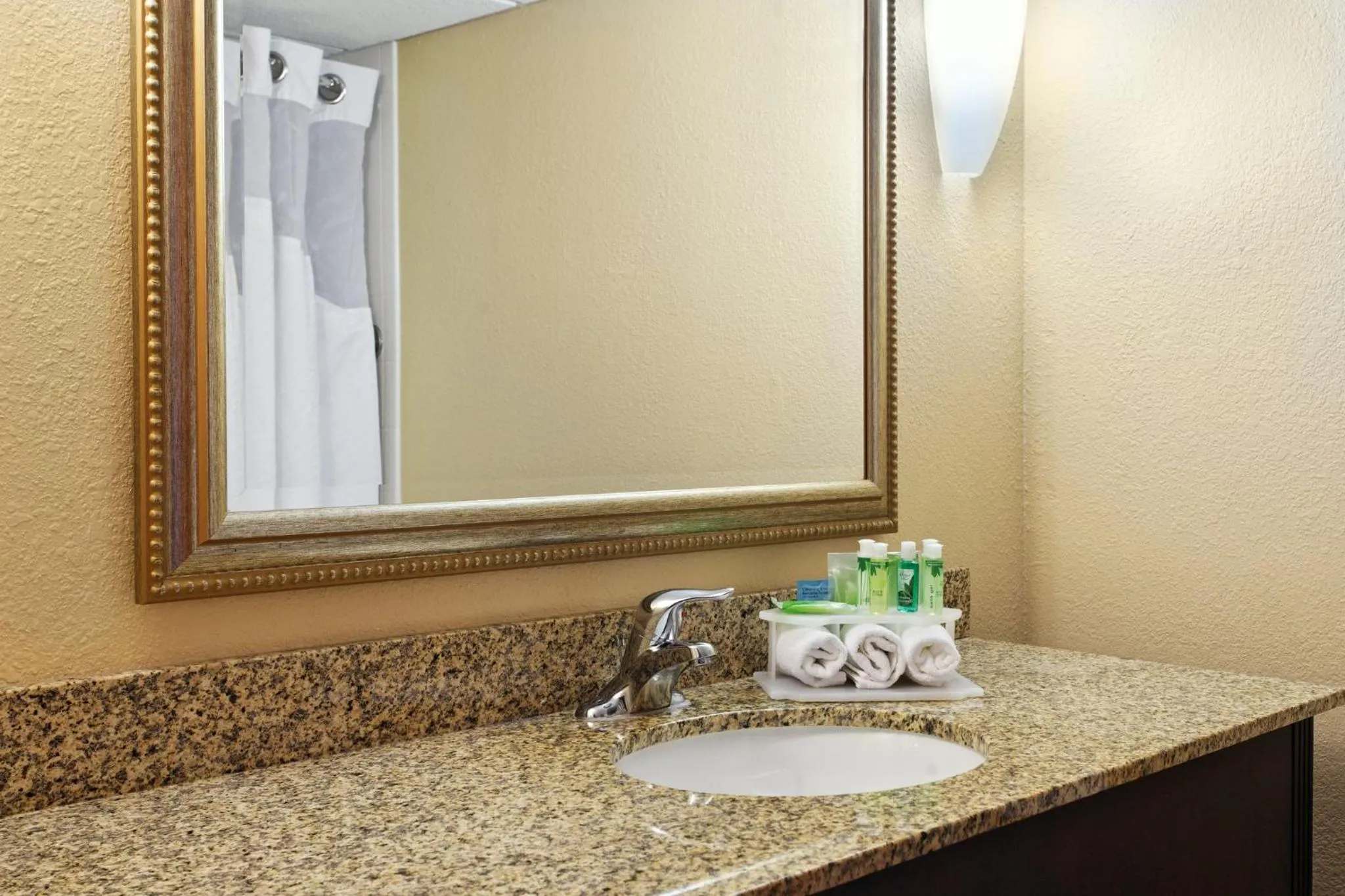Bathroom in Holiday Inn Express Hotel & Suites Knoxville-North-I-75 Exit 112 by IHG