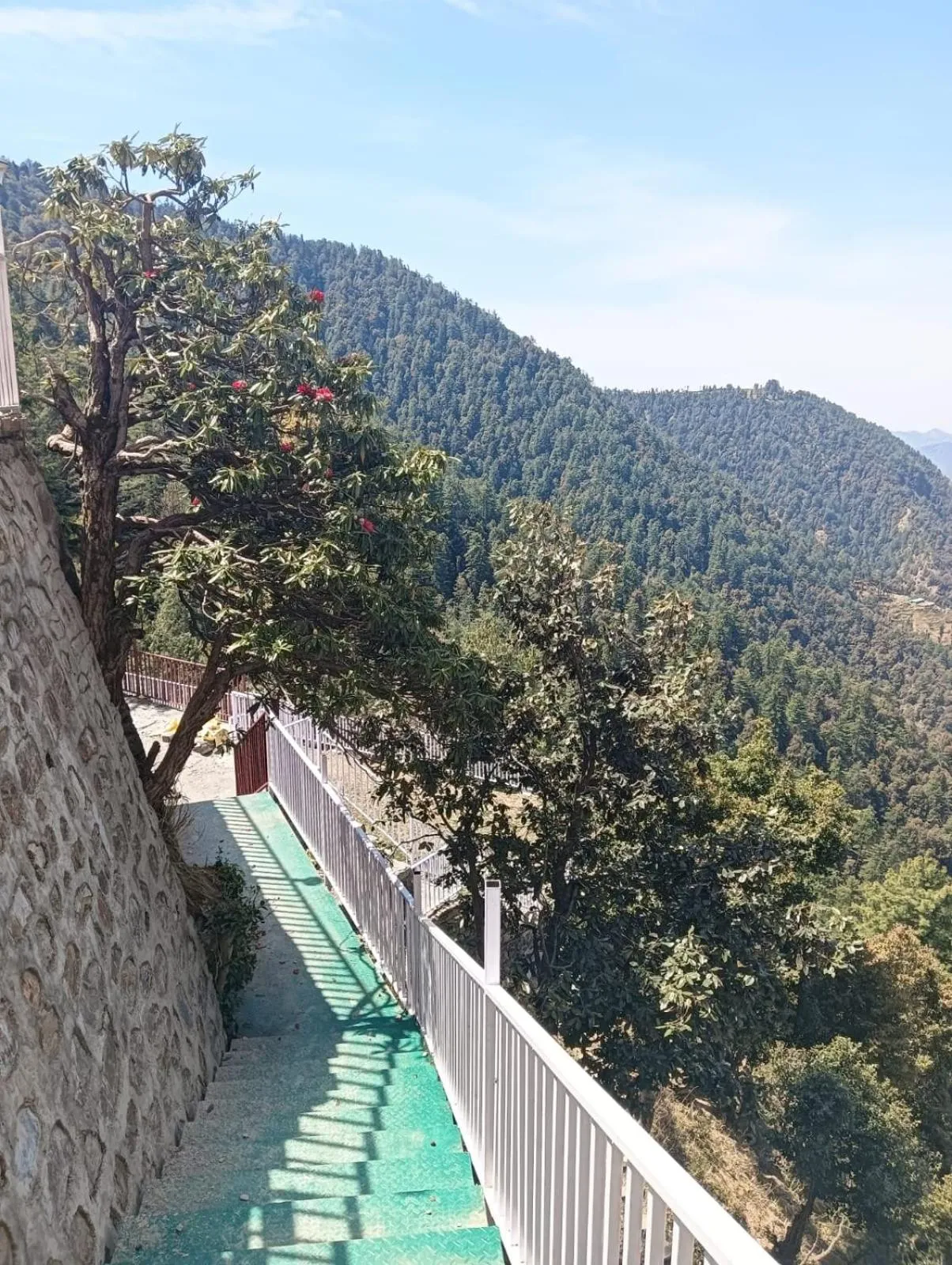 Balcony/Terrace in Kufri Pacific Resort