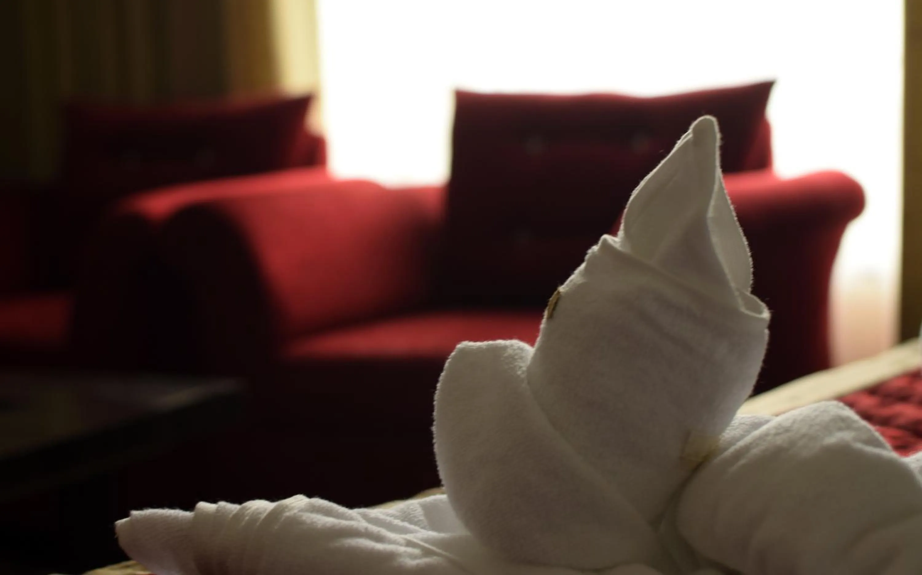 Property building in Kufri Pacific Resort