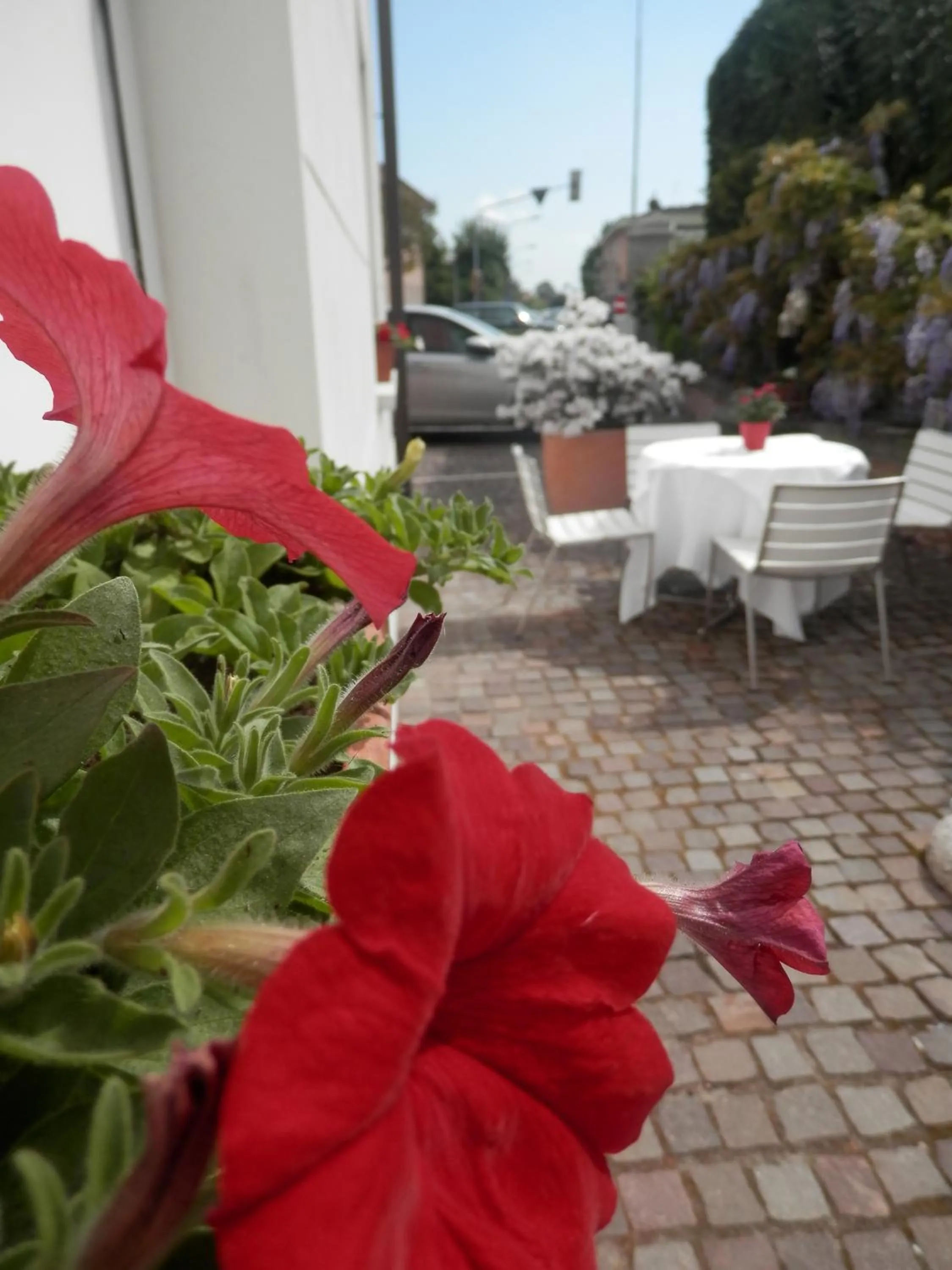 Spring in 15.92 Hotel