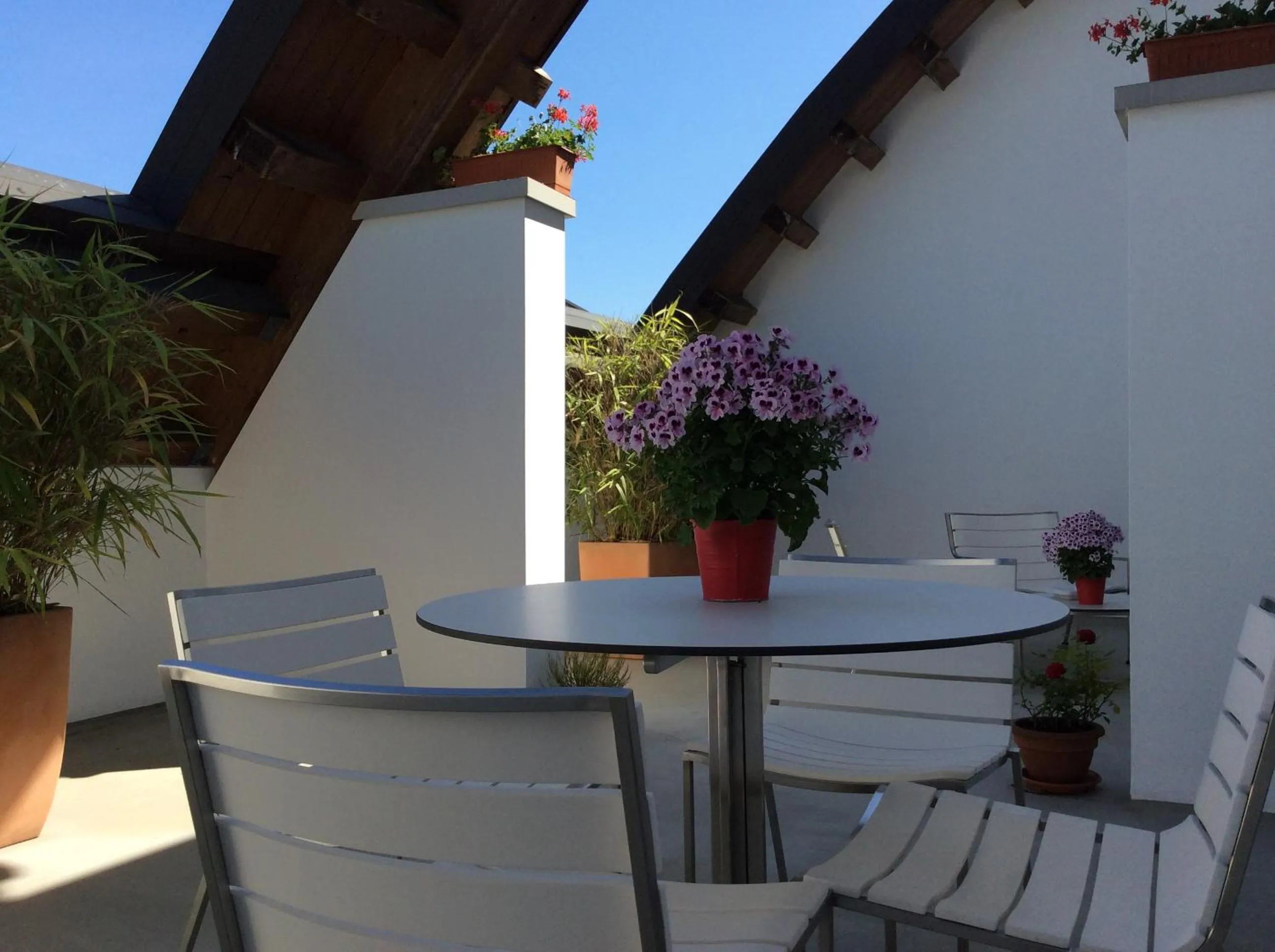 Spring in 15.92 Hotel