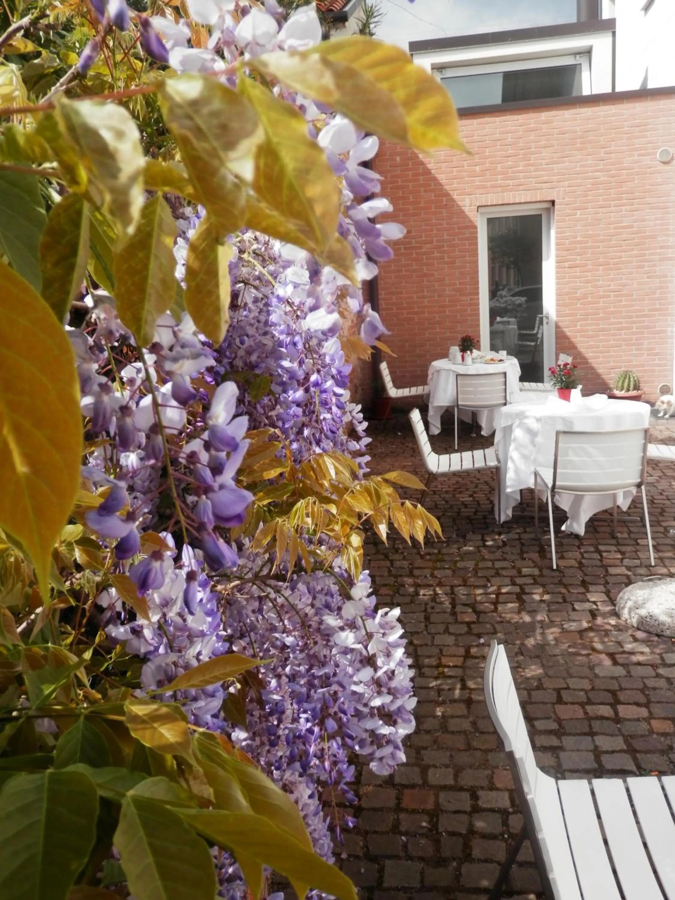 Patio in 15.92 Hotel