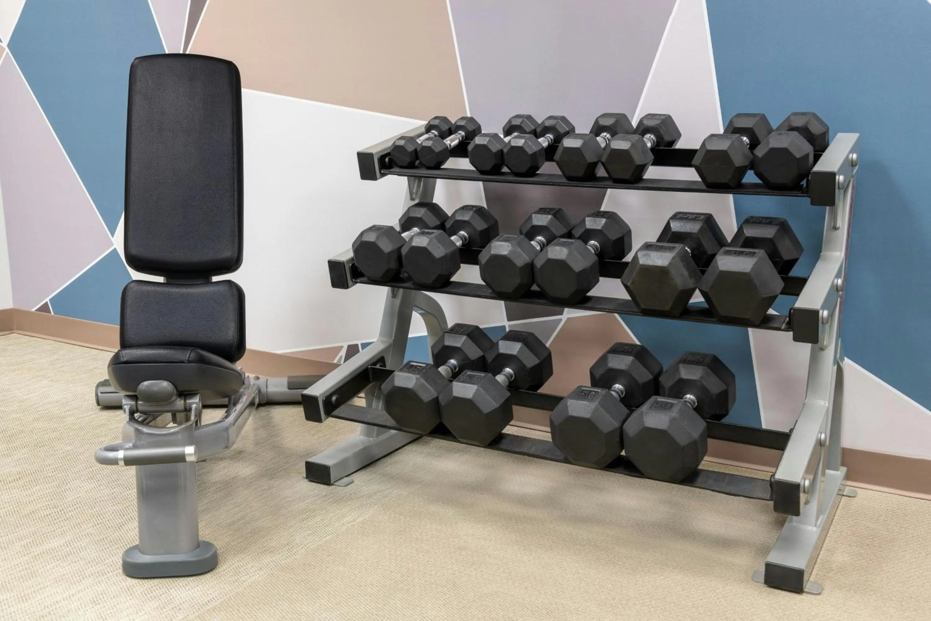 Area and facilities in SpringHill Suites Detroit Auburn Hills