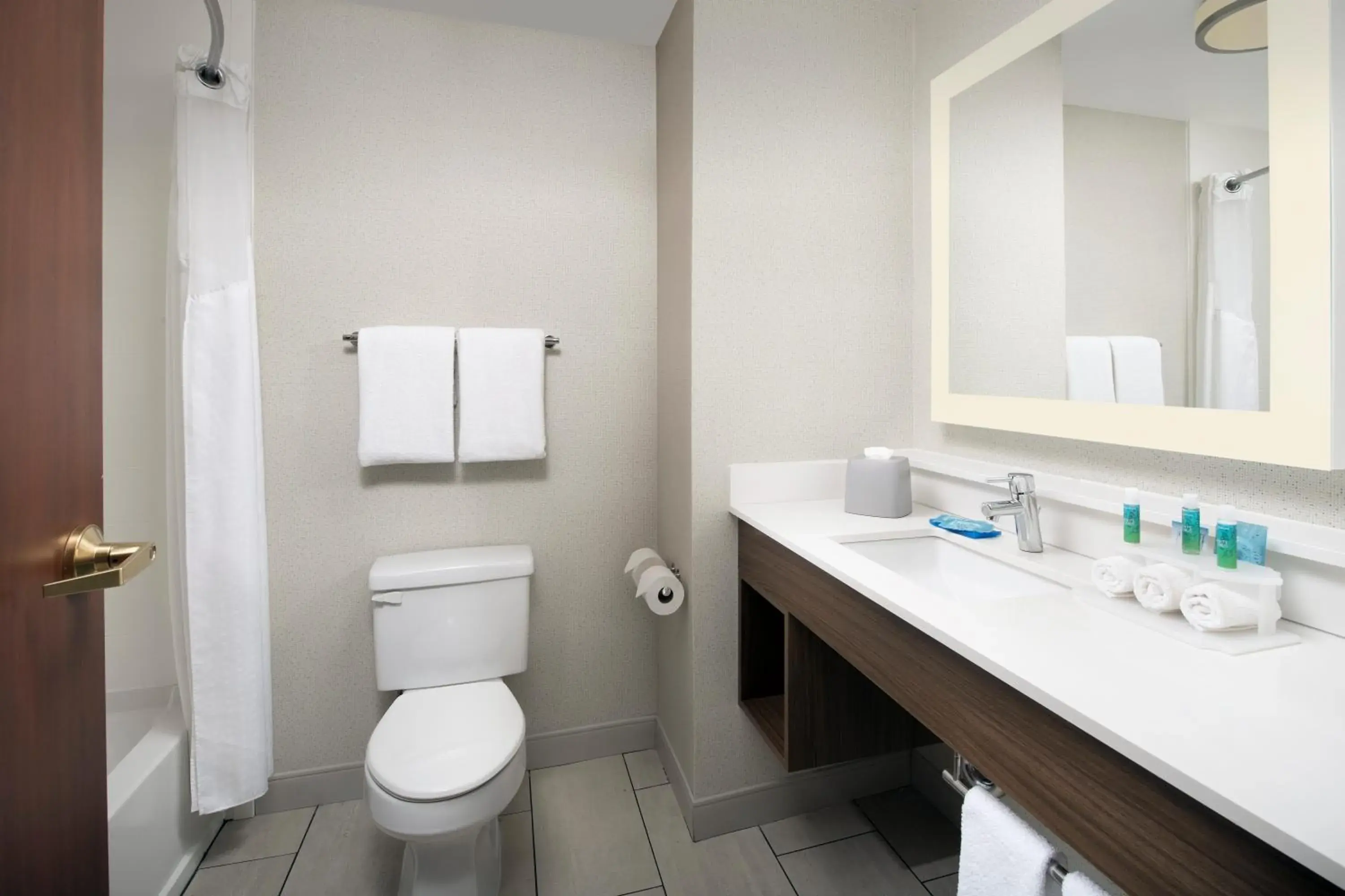 Standard King Room in Holiday Inn Express Knoxville-Strawberry Plains by IHG Standard King Room in Holiday Inn Express Knoxville-Strawberry Plains by IHG