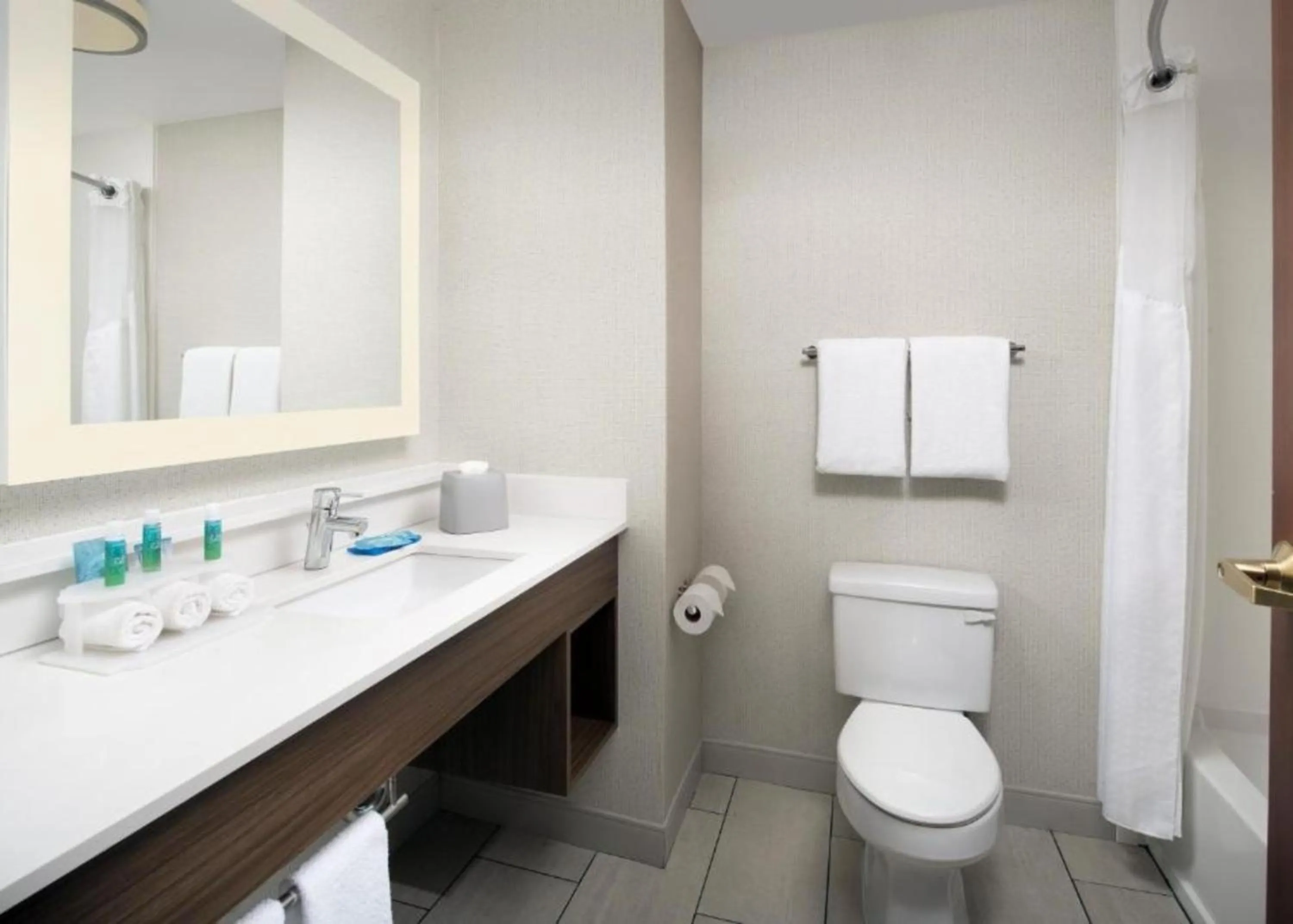 Bathroom in Holiday Inn Express Knoxville-Strawberry Plains by IHG