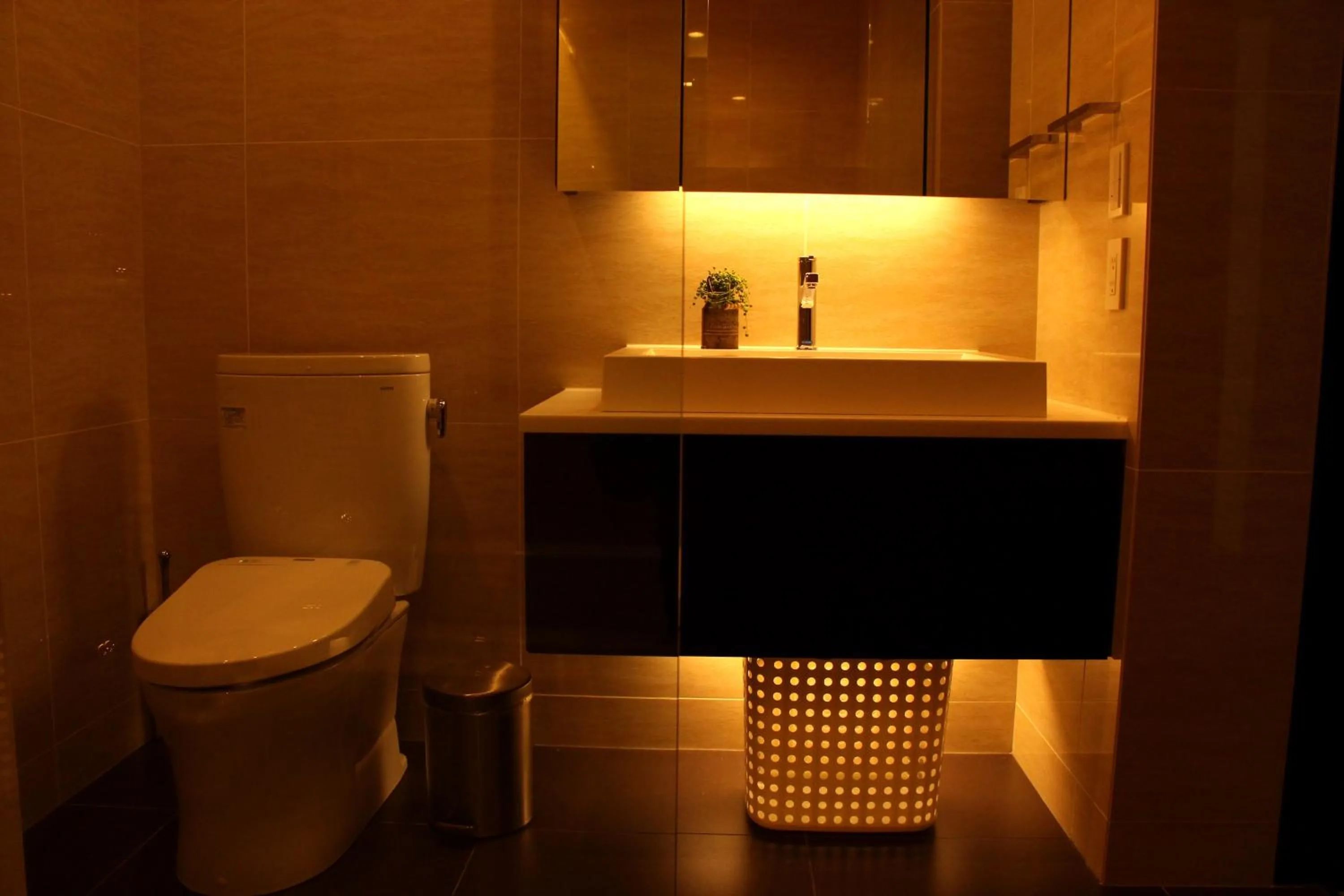 Toilet in Mountain Side Hakuba