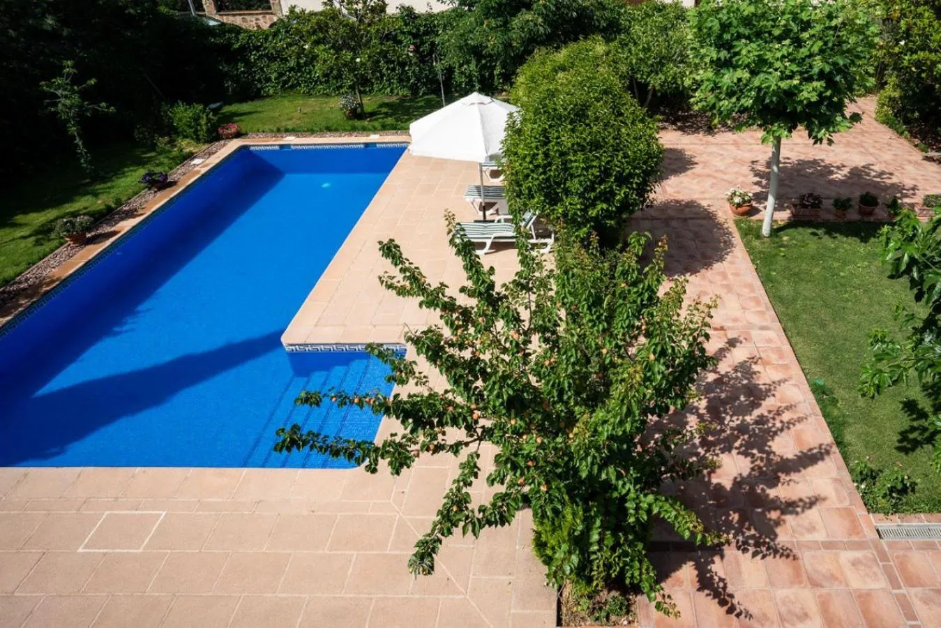 Swimming pool in Villa Marín Toledo