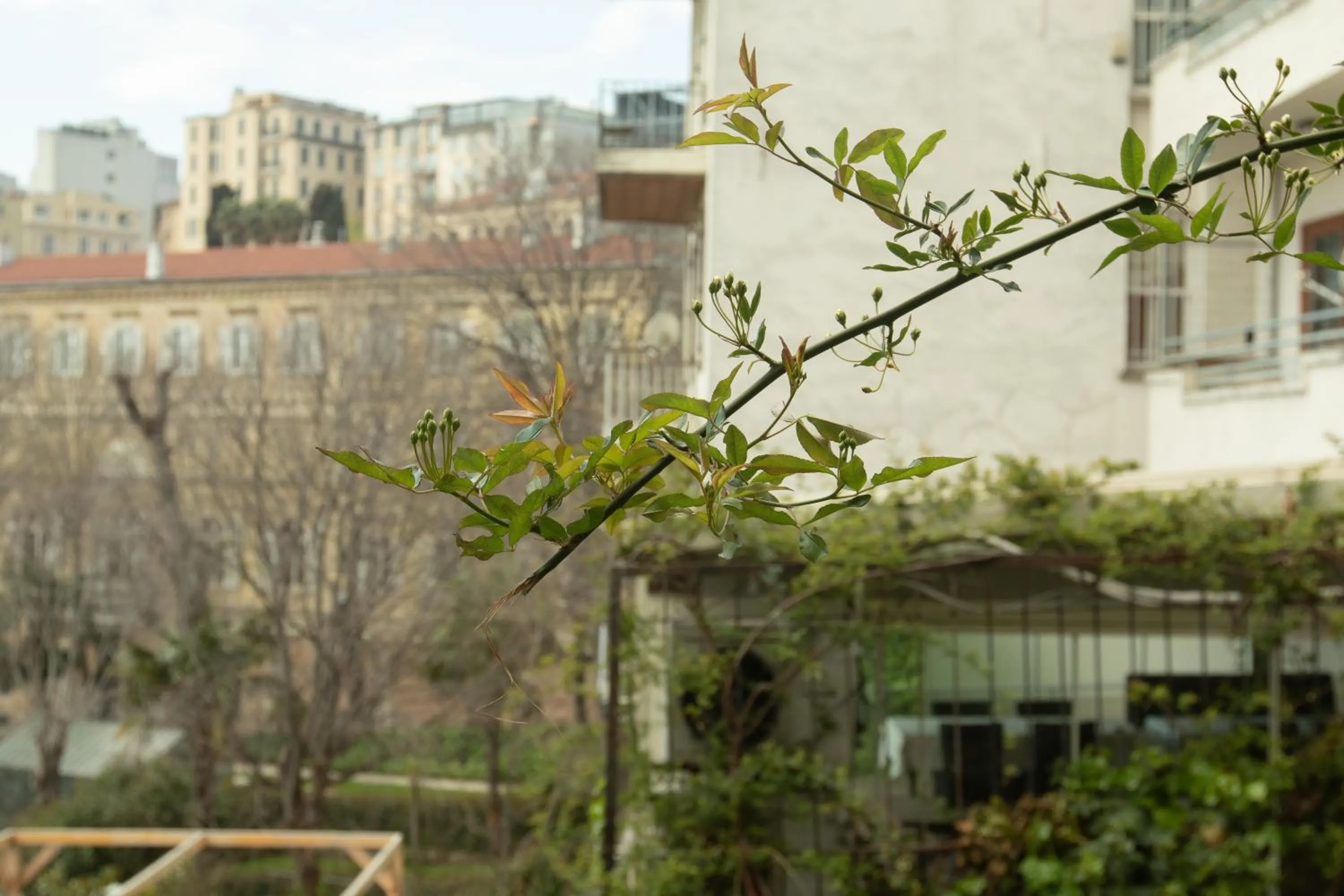 Spring in Louis Rooms