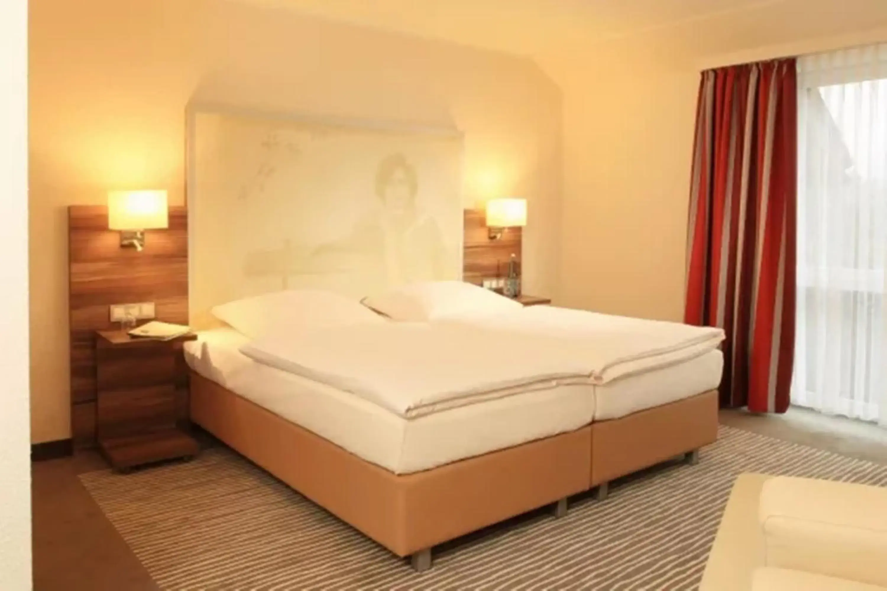 Double Room Comfort with Terrace in Balland's Hotel & Restaurant Double Room Comfort with Terrace in Balland's Hotel & Restaurant