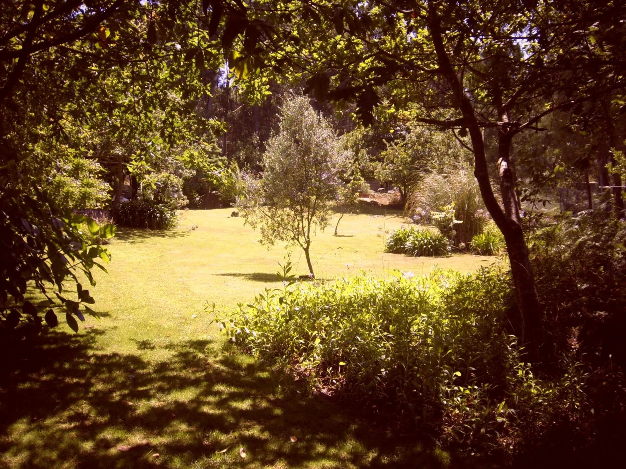 Area and facilities in Hotel & Apartamentos Cons da Garda