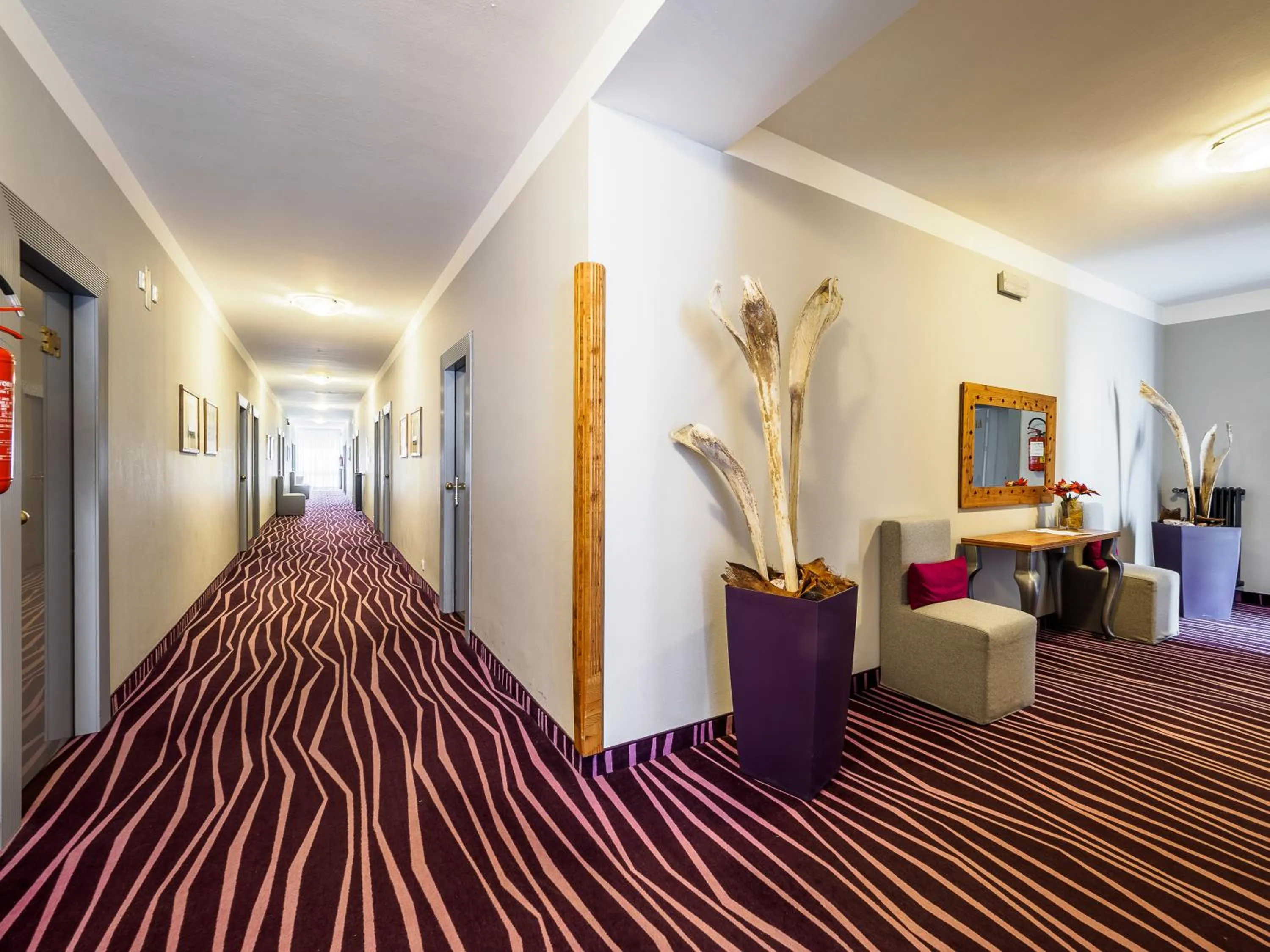 Area and facilities in Cristallo Wellness Hotel