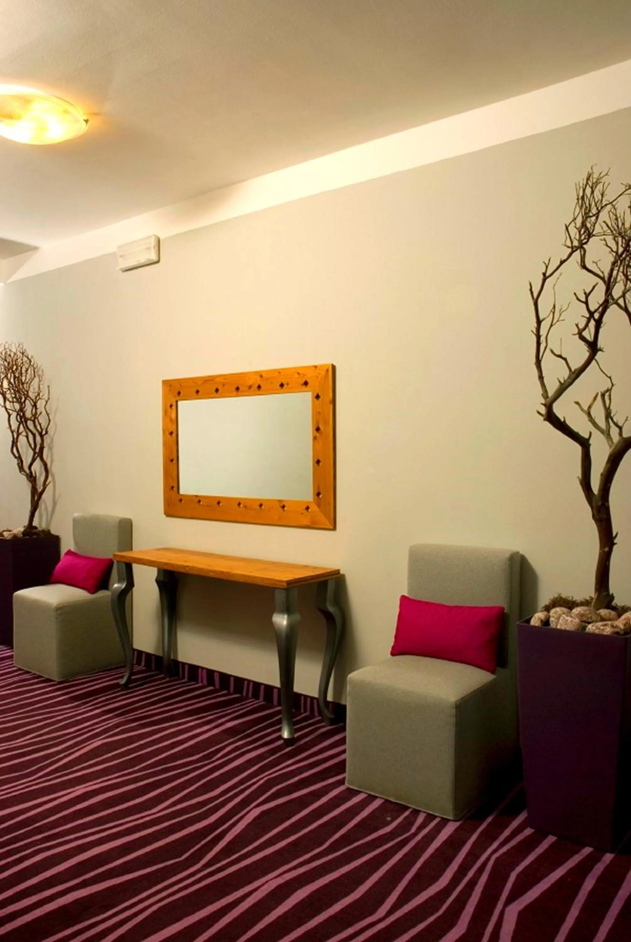 Area and facilities in Cristallo Wellness Hotel