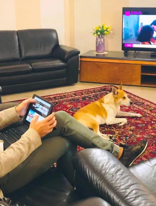 Communal lounge/ TV room in Hotel Daniel