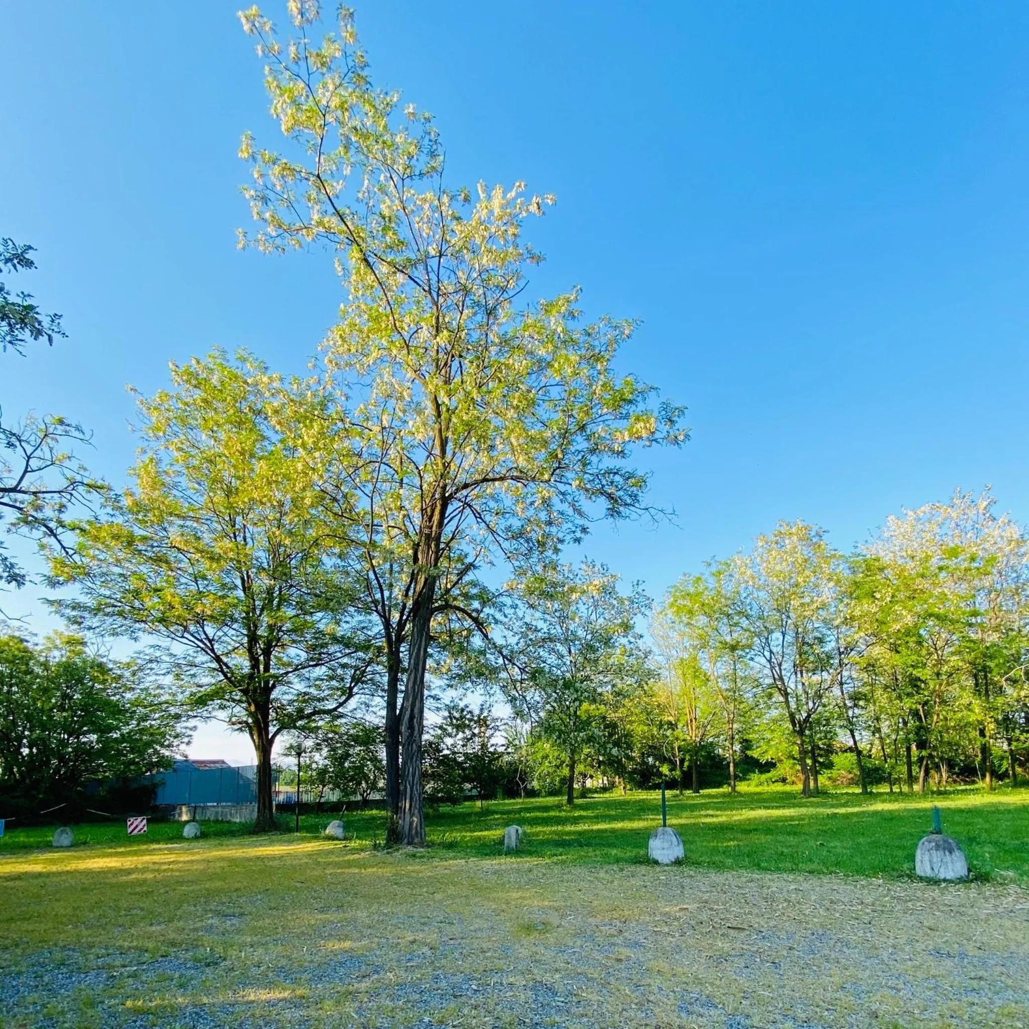 Natural landscape in Hotel Daniel