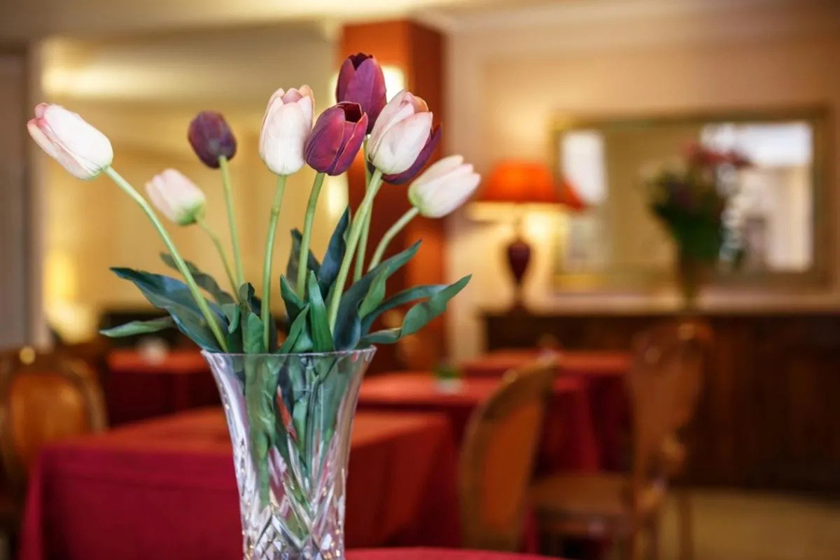 Restaurant/places to eat in Hotel Daniel