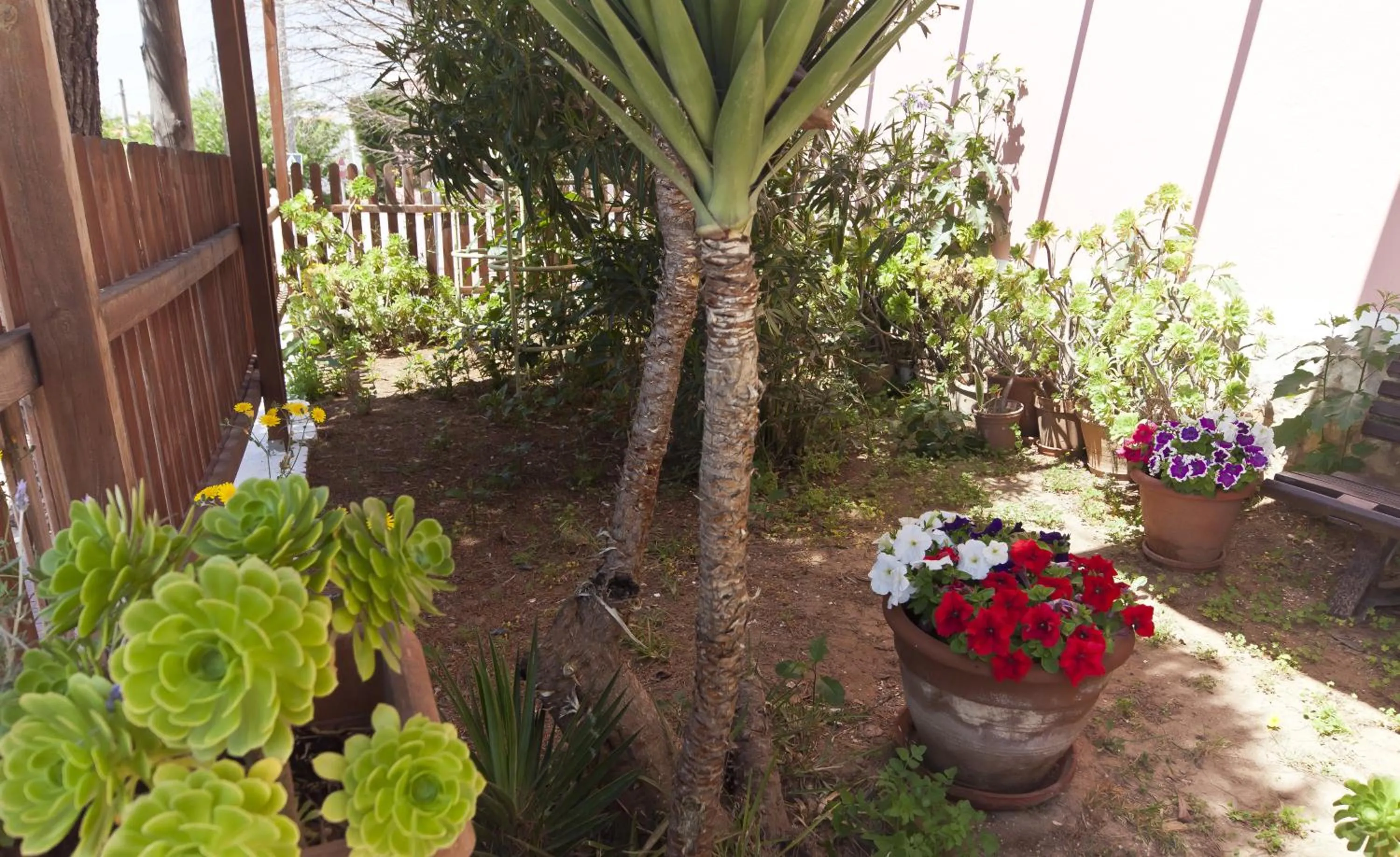 Decorative detail in Cala Bona y Mar Blava