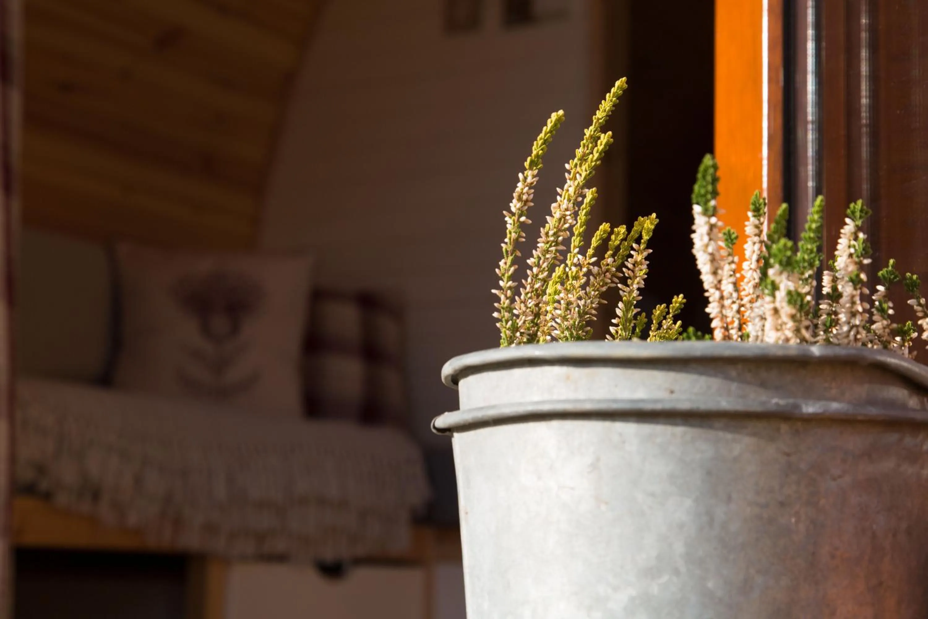 Decorative detail in The Norman Knight Whichford