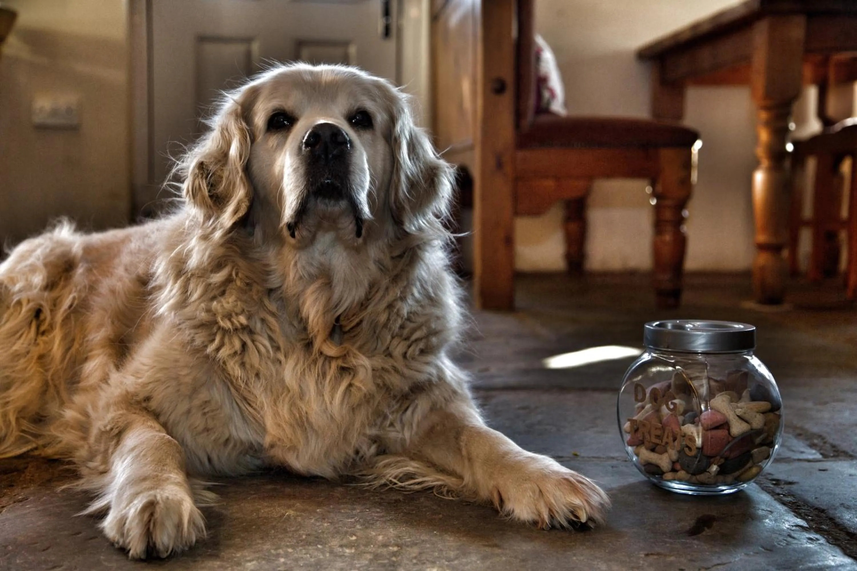 On site in The Norman Knight Whichford