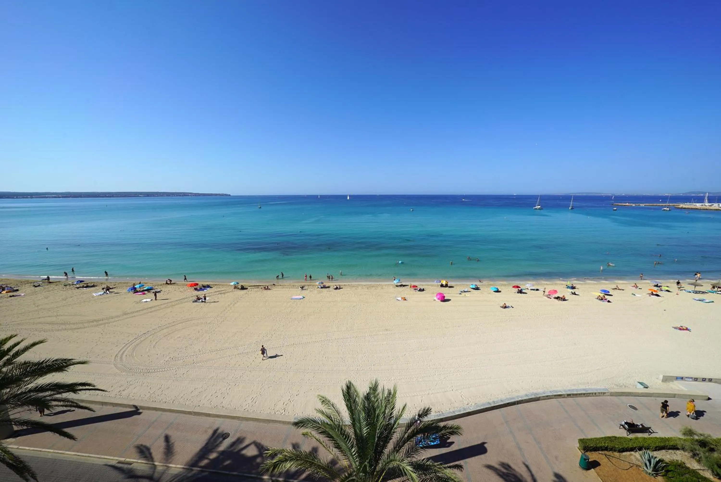 Sea view in Hotel Eden Palma Playa Adults Only