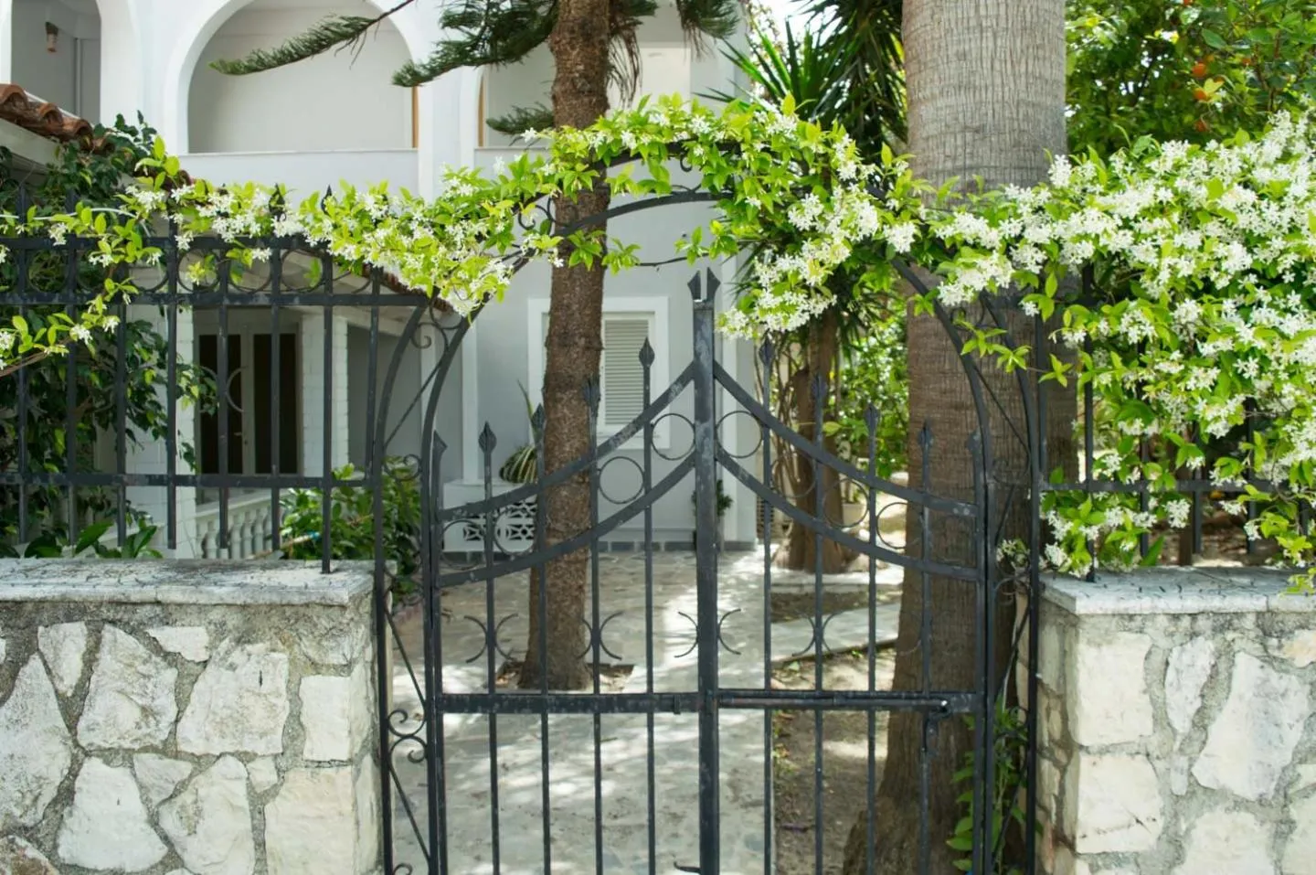 Garden view in Paradise Beach Hotel