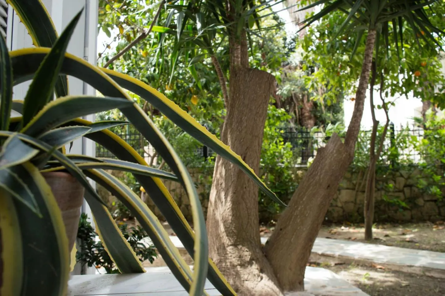 Garden in Paradise Beach Hotel