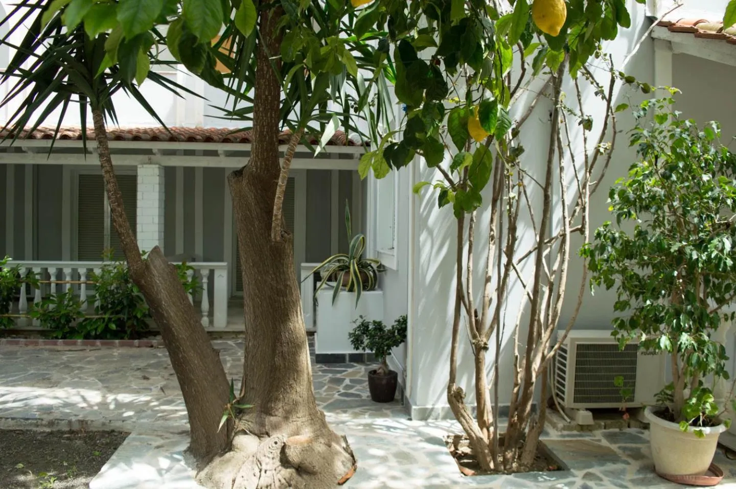 Garden view in Paradise Beach Hotel