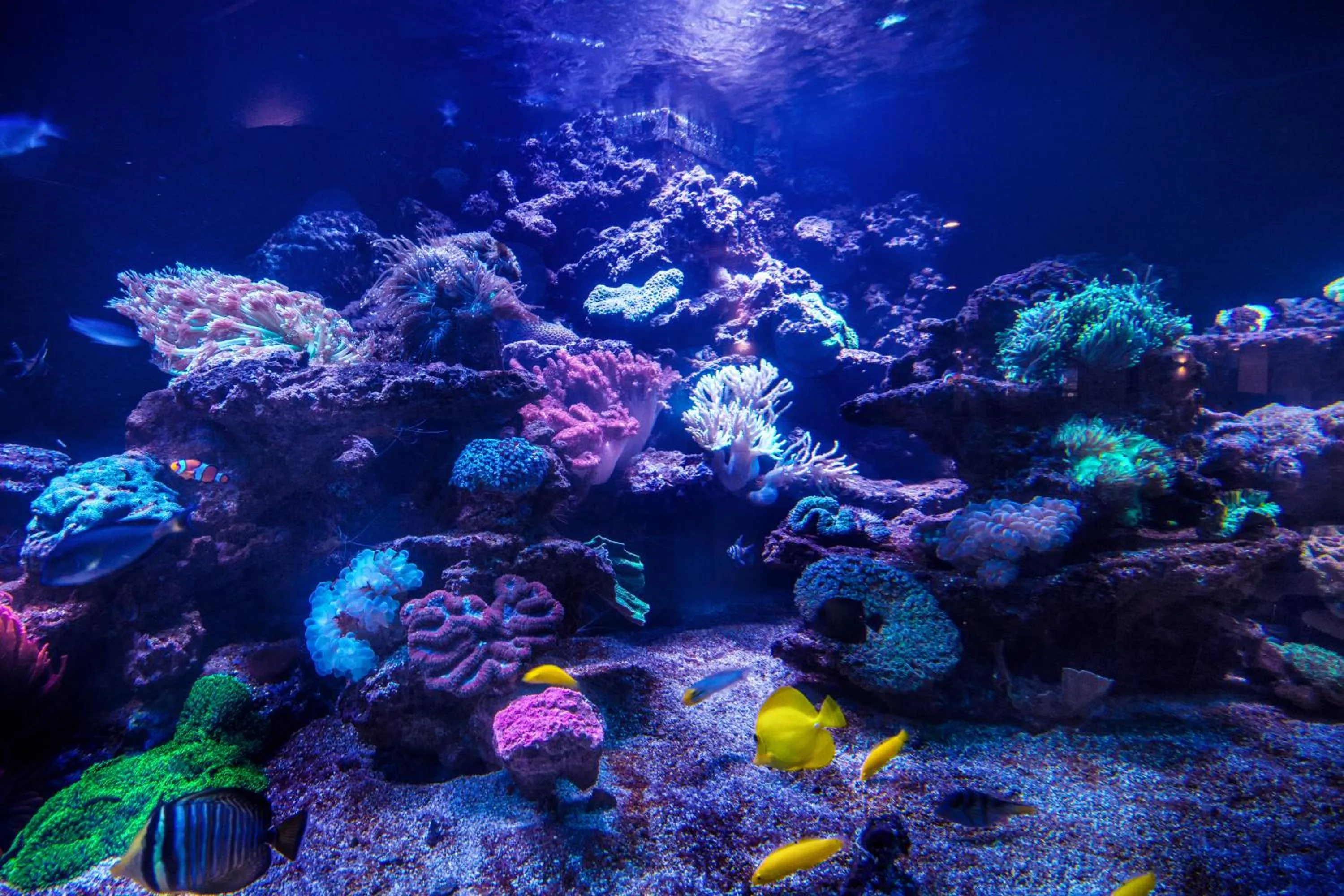 Decorative detail in Hotel & Medi-Spa Biały Kamień