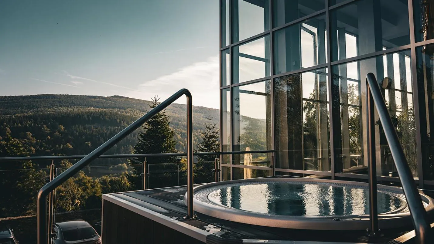 Swimming pool in Hotel & Medi-Spa Biały Kamień