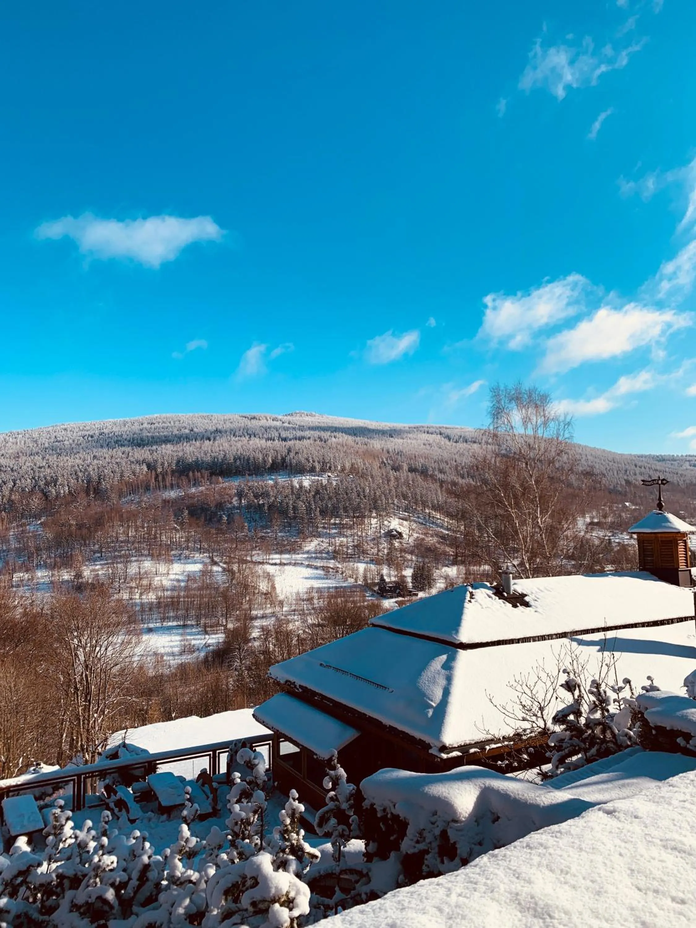 Mountain view in Hotel & Medi-Spa Biały Kamień