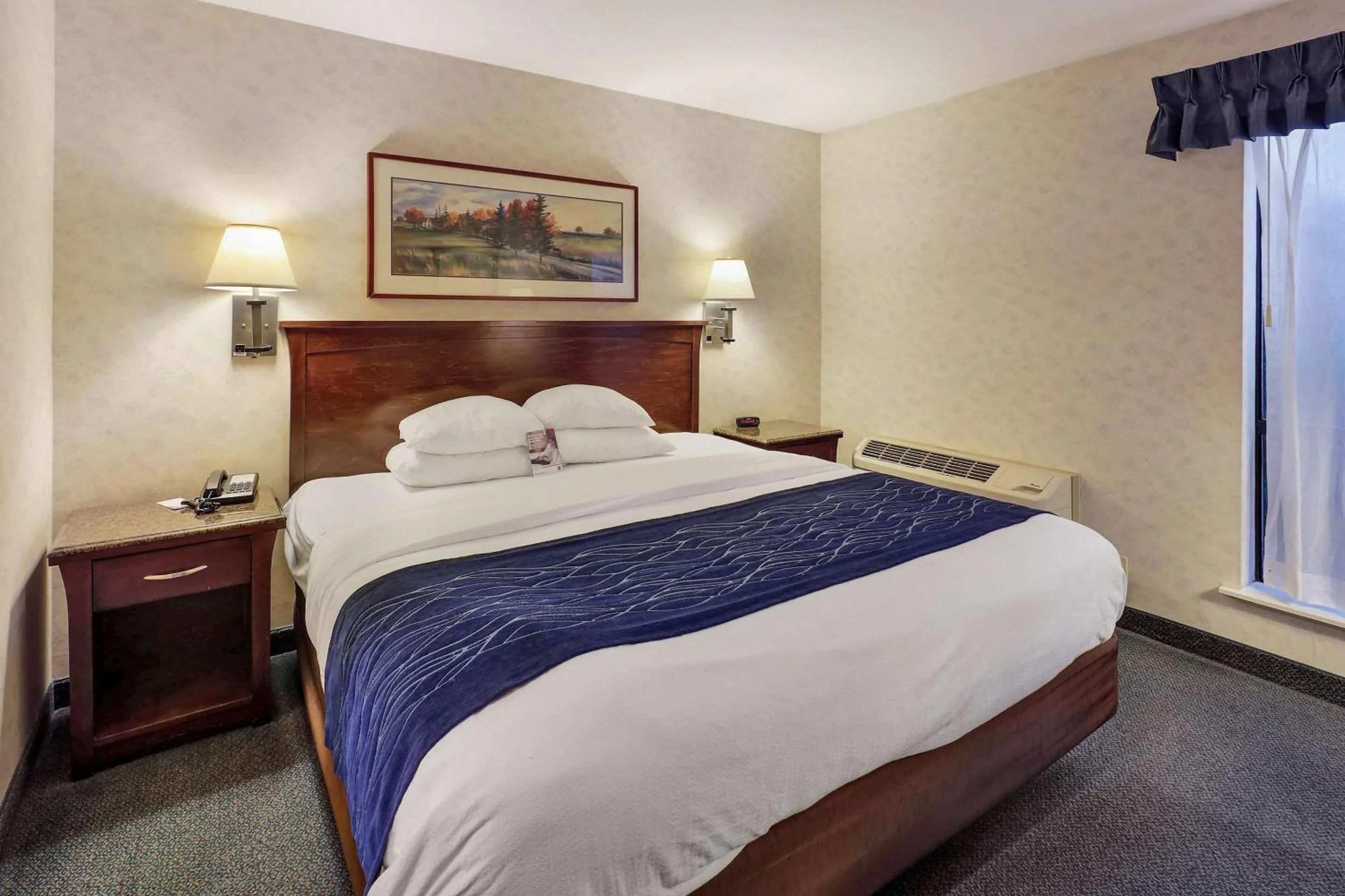 Bedroom, Bed in Comfort Inn Bellingham