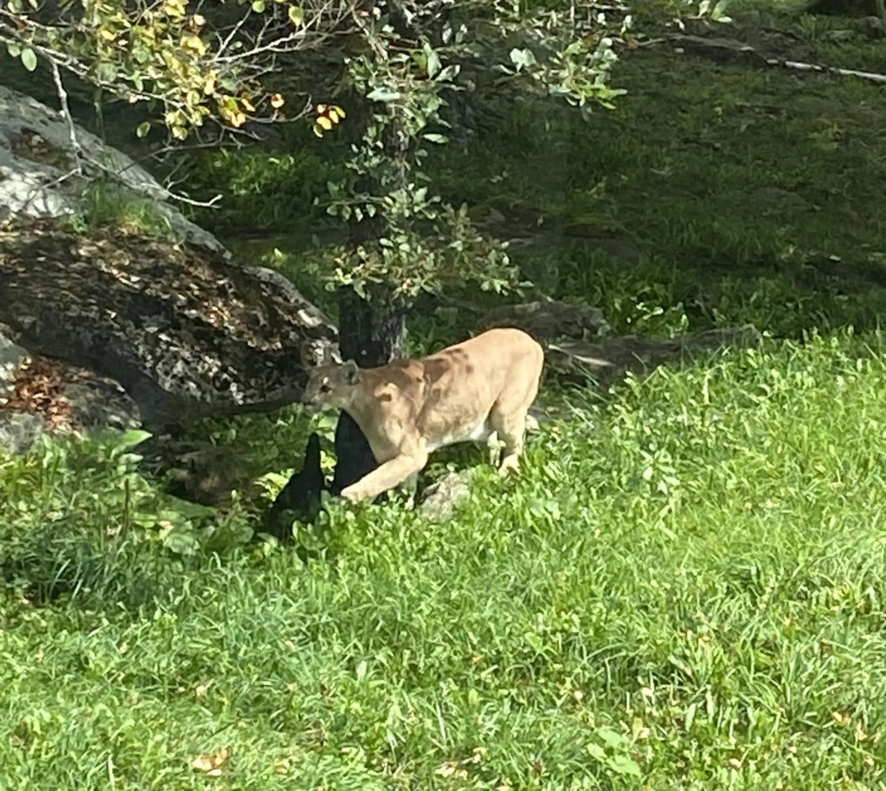 Area and facilities in Holiday Inn Express Boone by IHG
