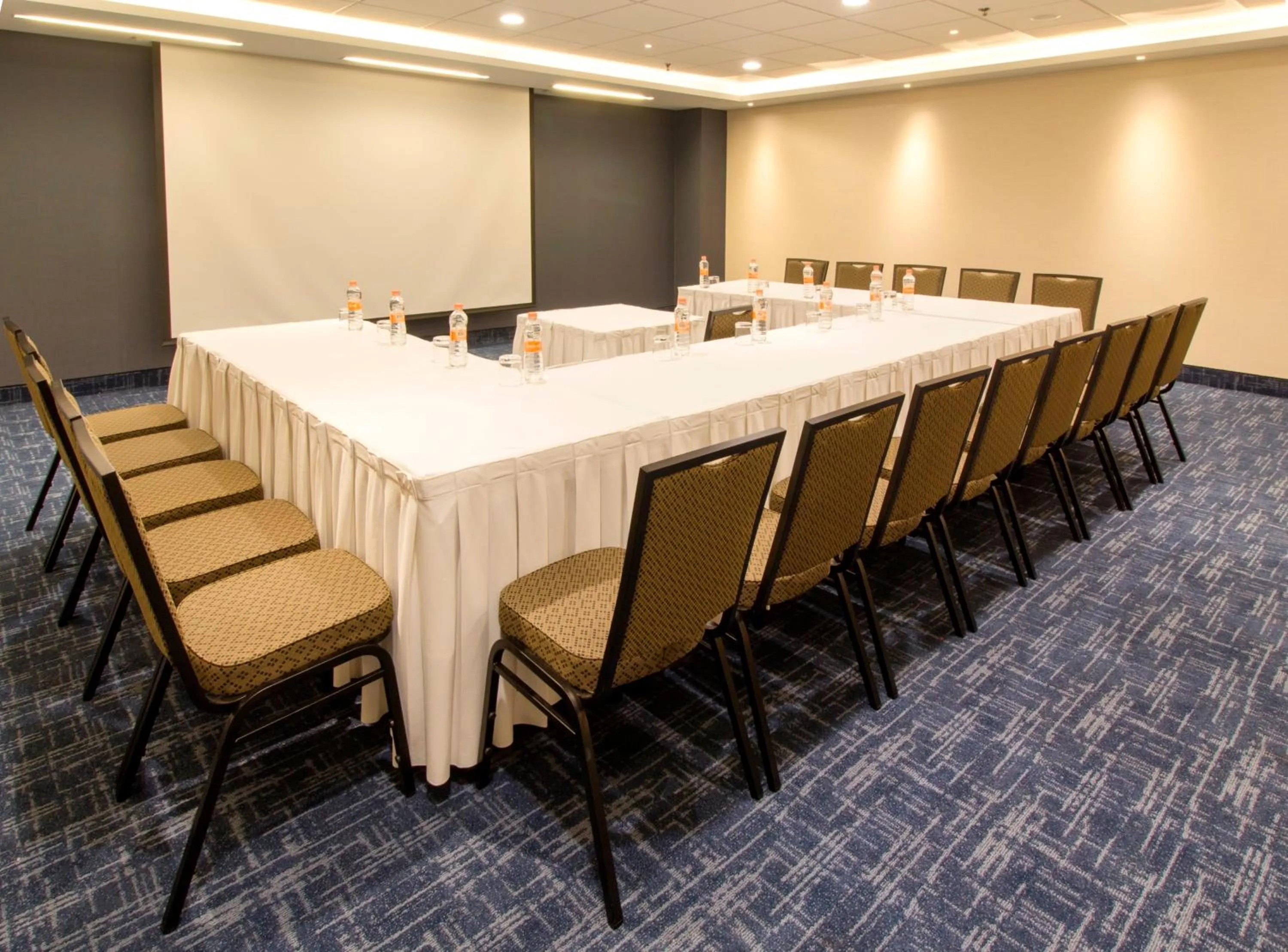 Meeting/conference room in Holiday Inn Puebla La Noria by IHG