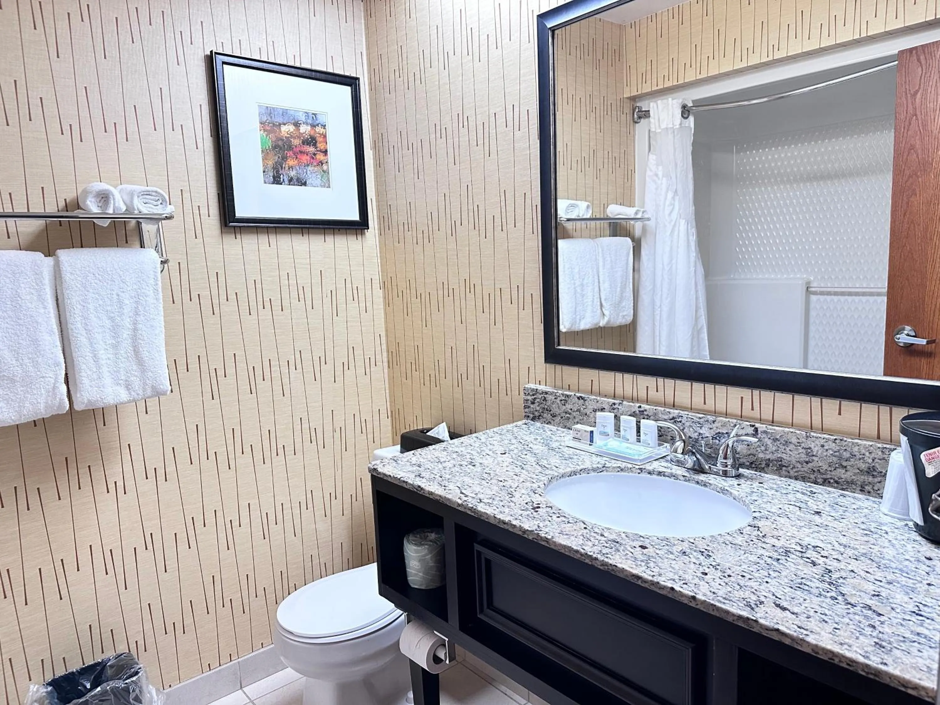 Bathroom in Holiday Inn Express Big Rapids by IHG