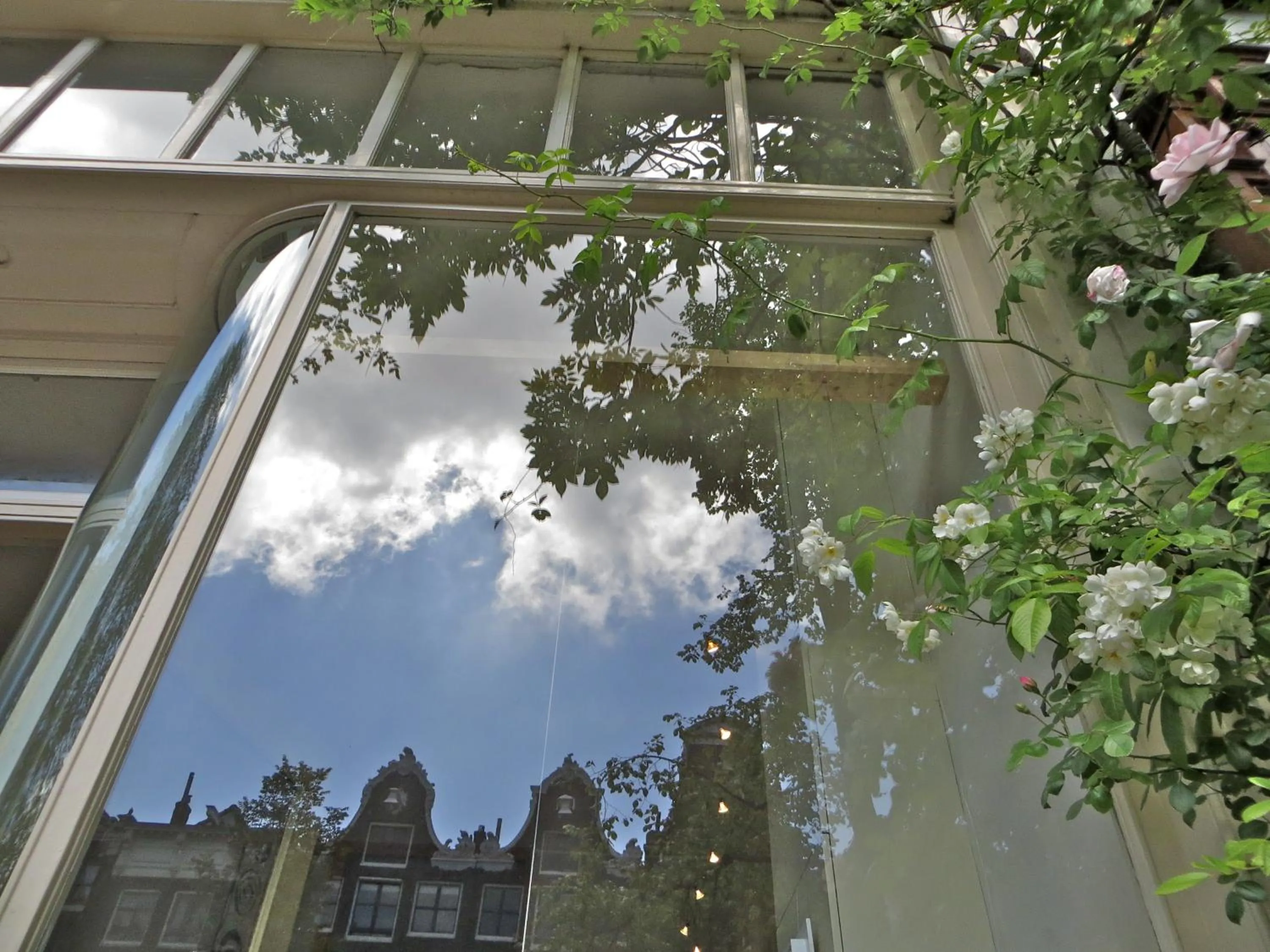 Property building in Casa Luna