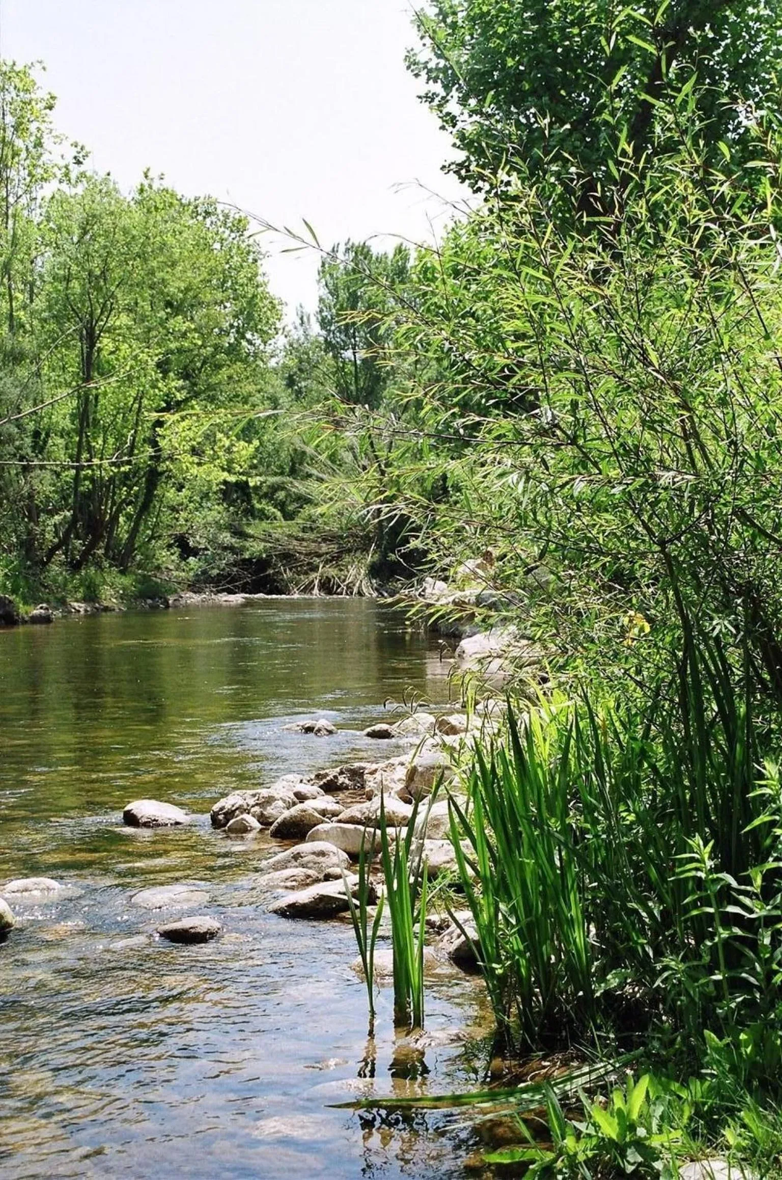 Natural landscape in Hotel El Molí