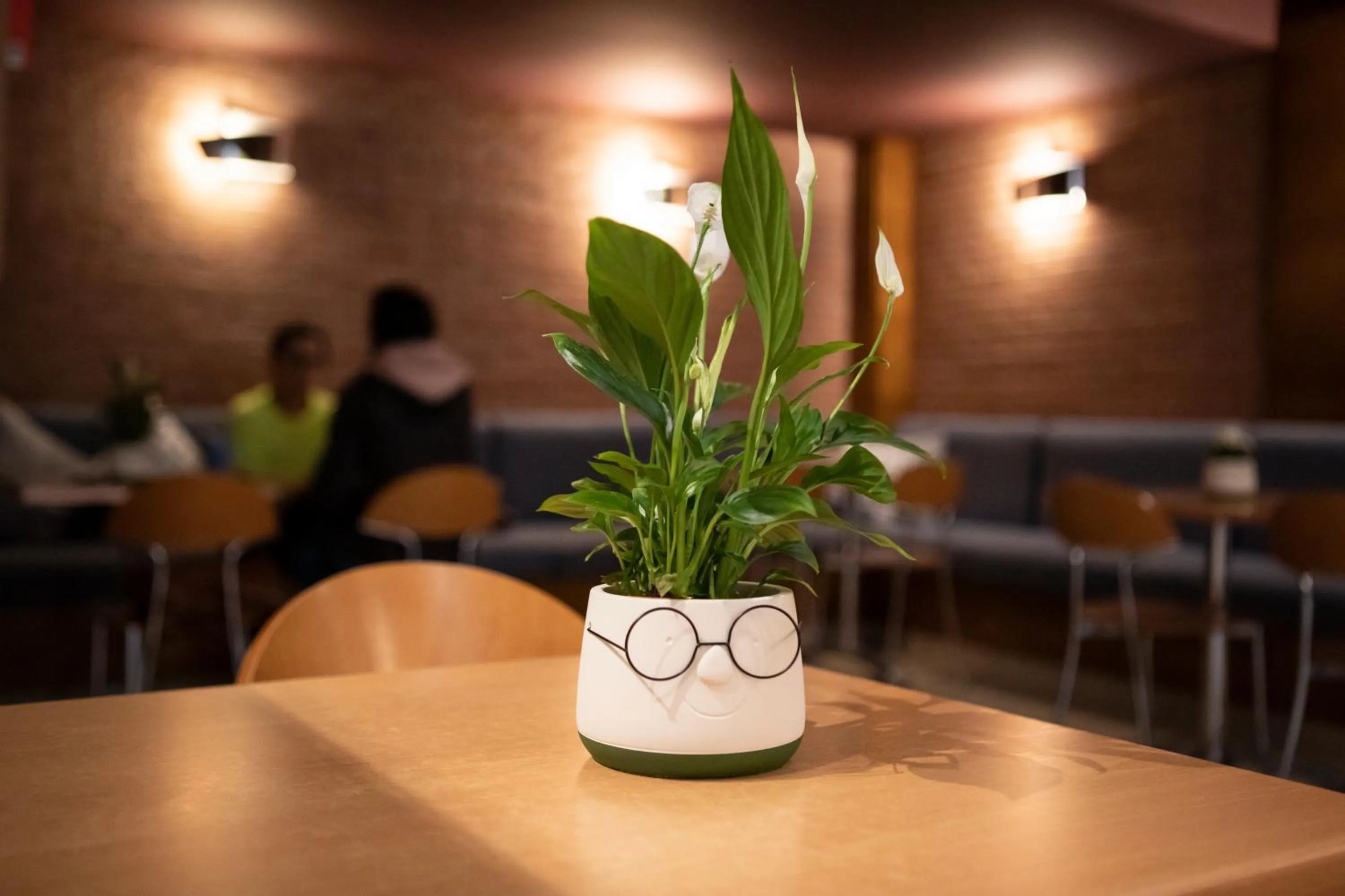 Seating area in Bed and Breakfast El Pekinaire