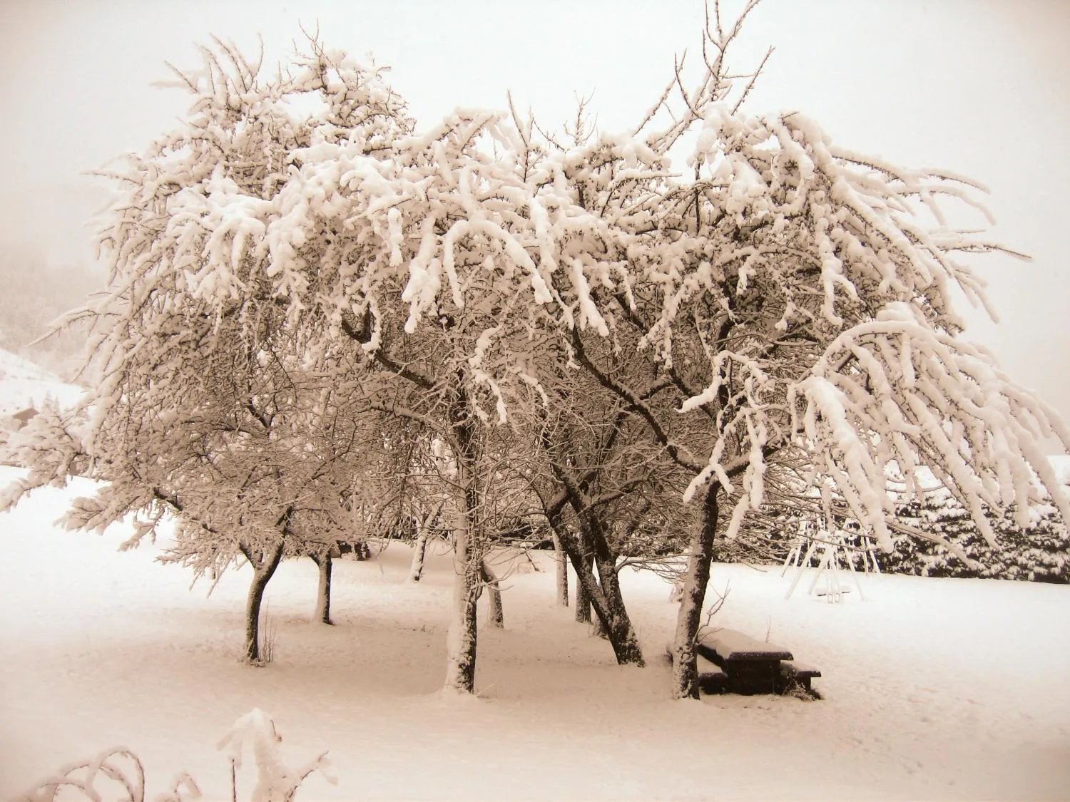 Garden in Esprit Montagne