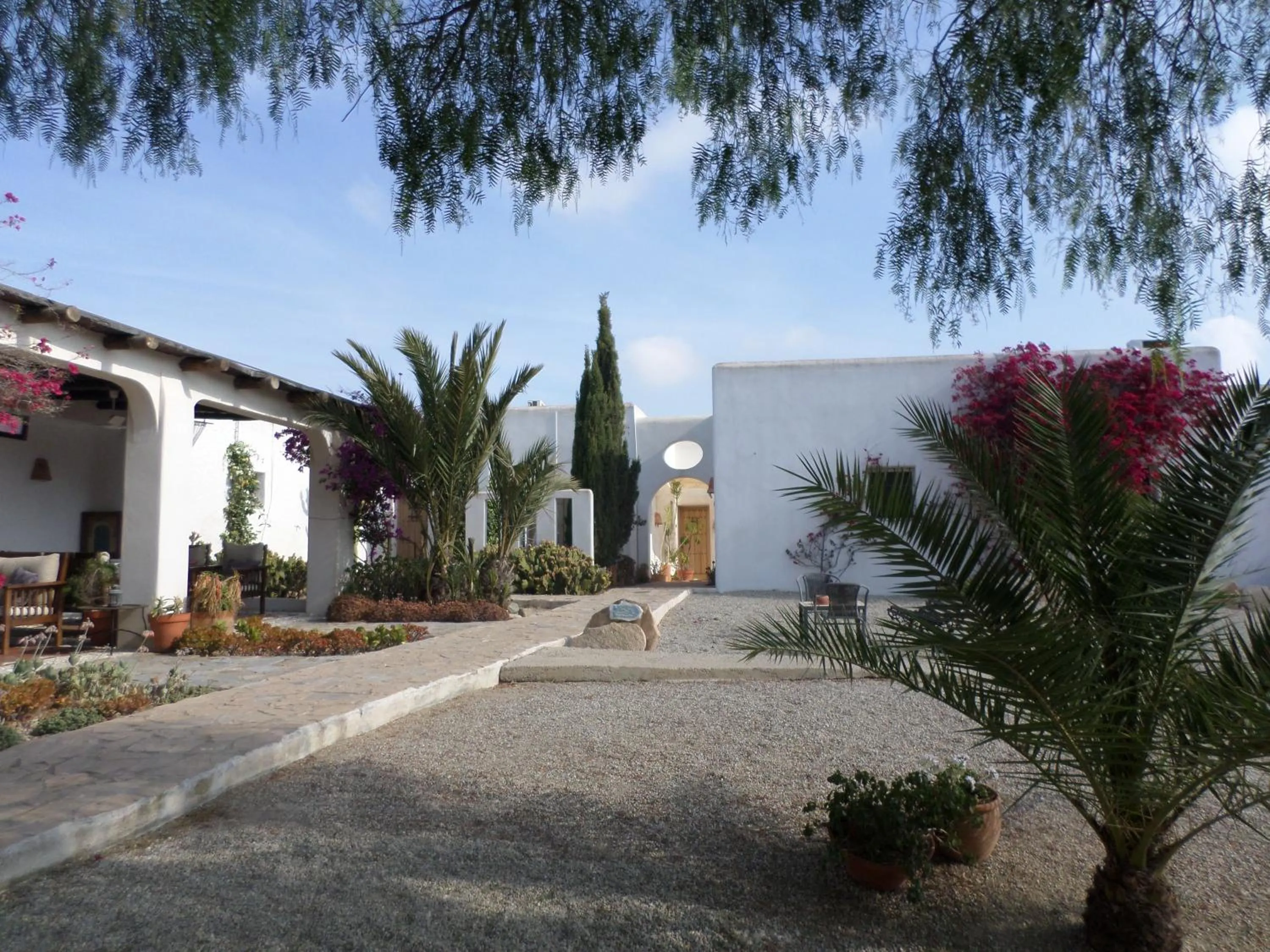 Garden in Cortijo Los Malenos