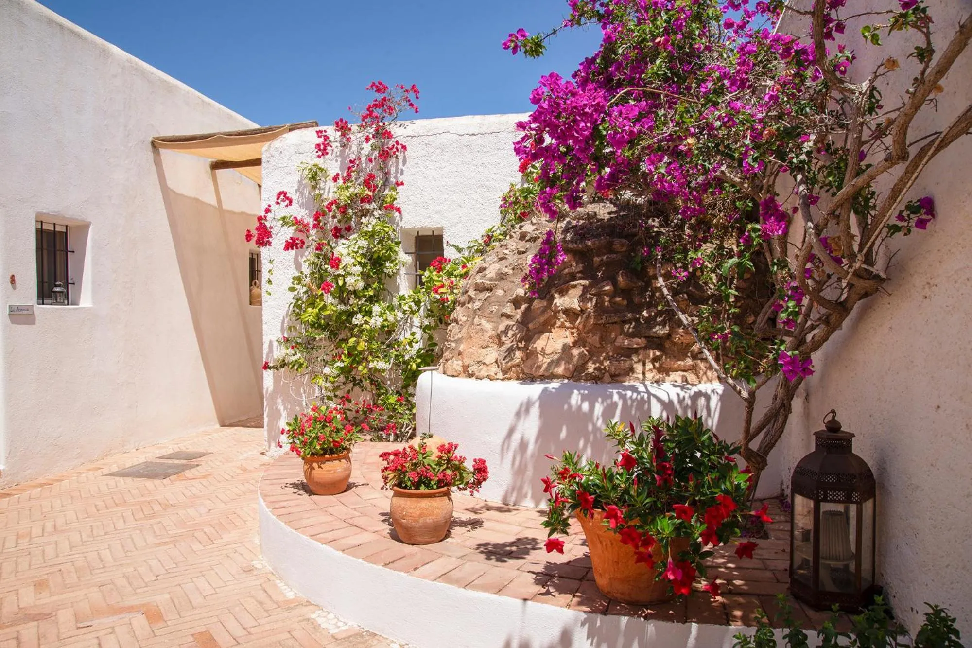 Patio in Cortijo Los Malenos