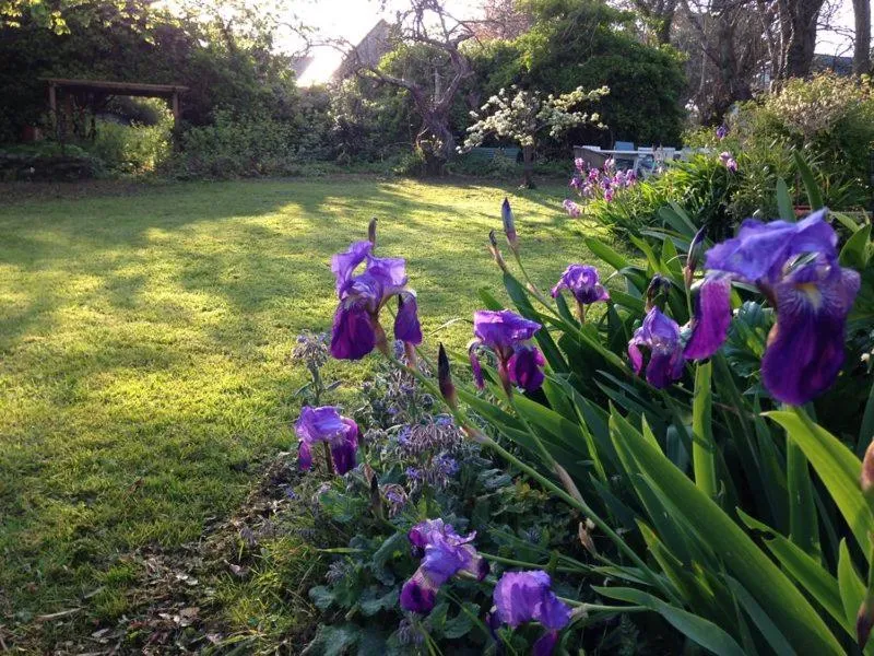 Garden in L'écume de mer