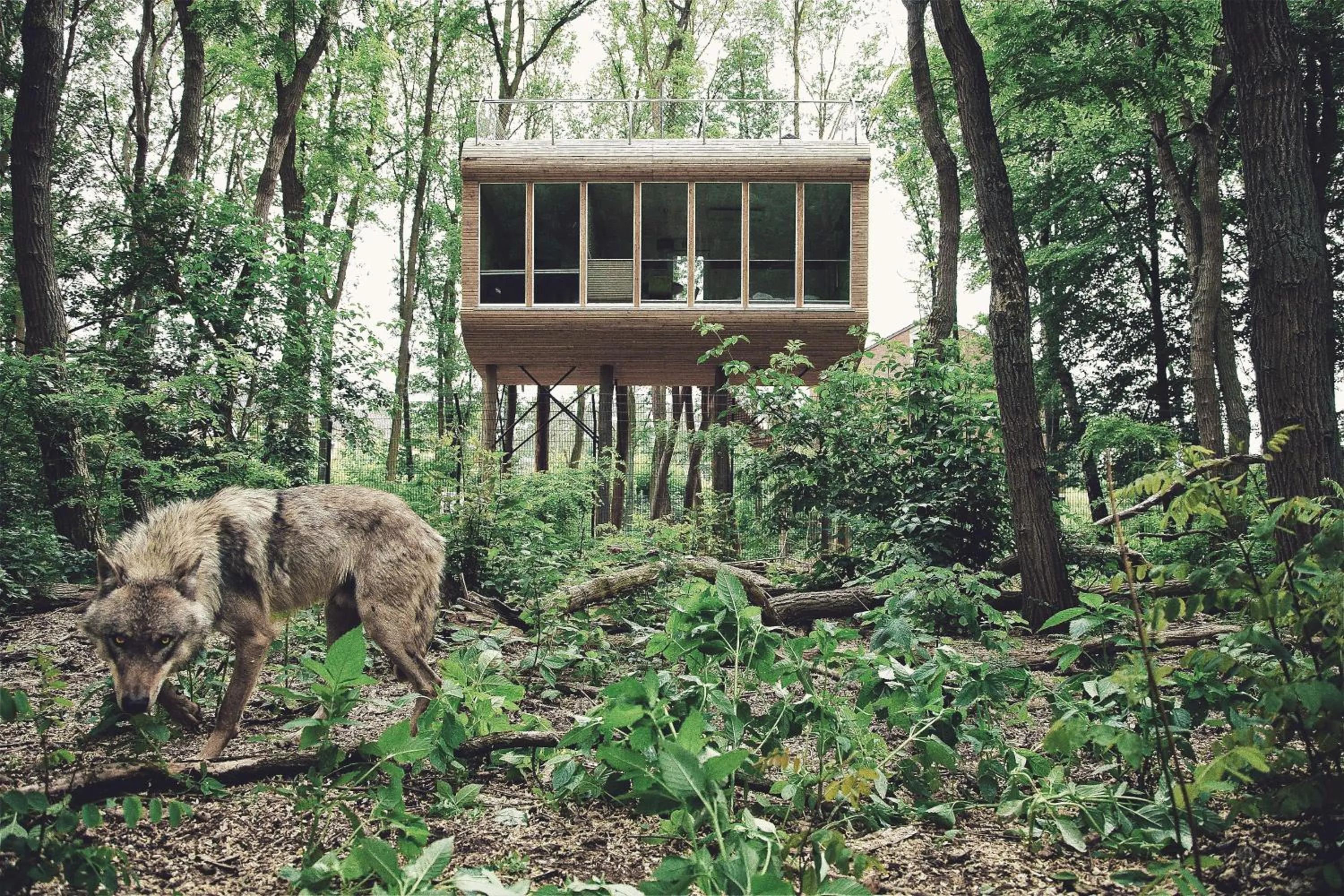 Property building in Tree Inn - Das Baumhaushotel