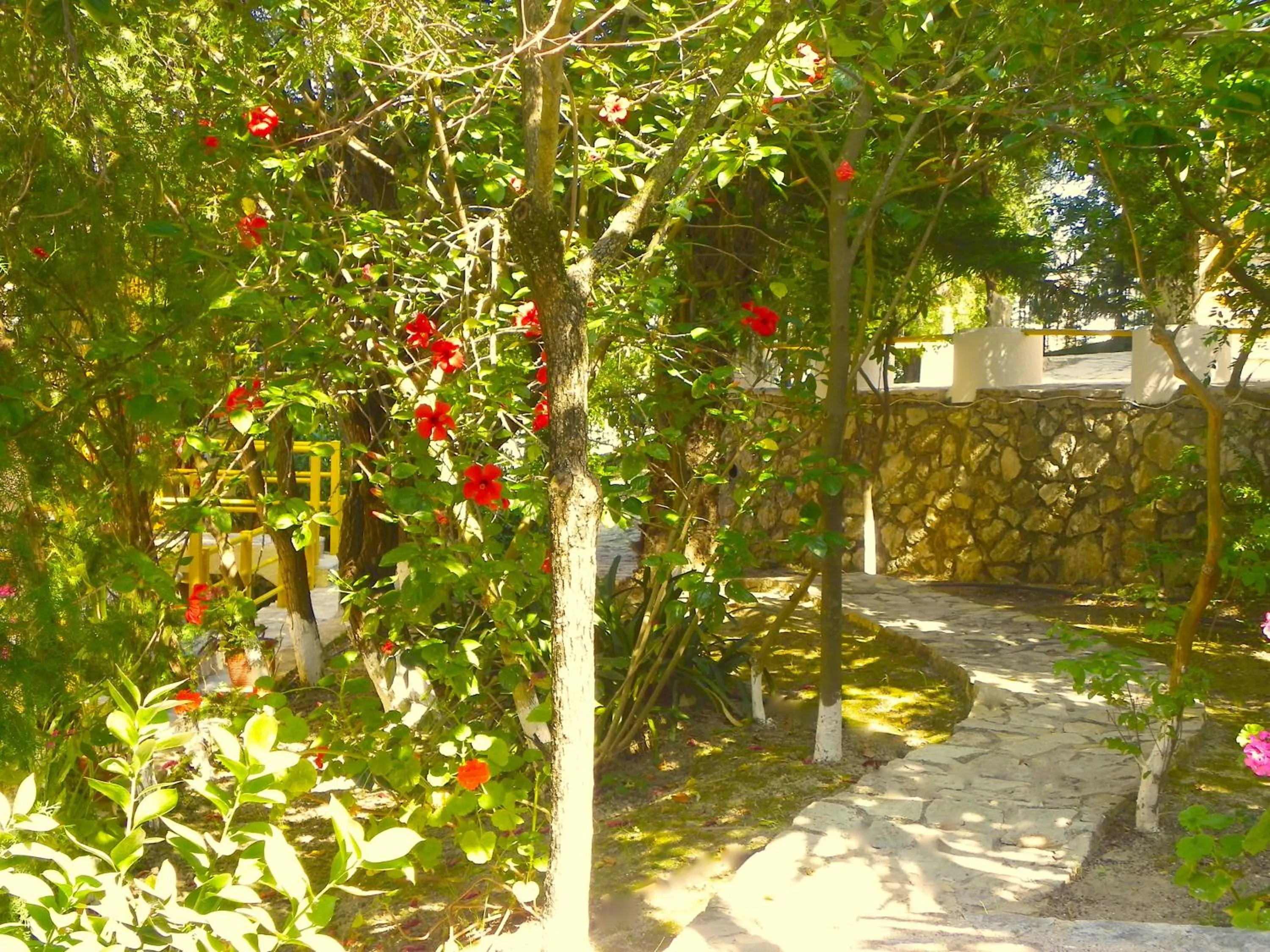 Garden in Mirabelle Hotel