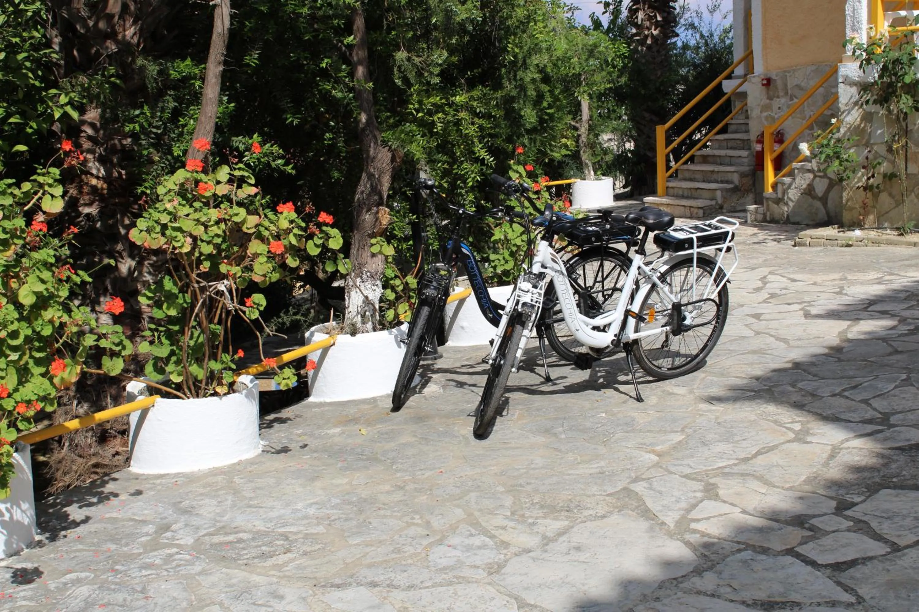 Activities in Mirabelle Hotel