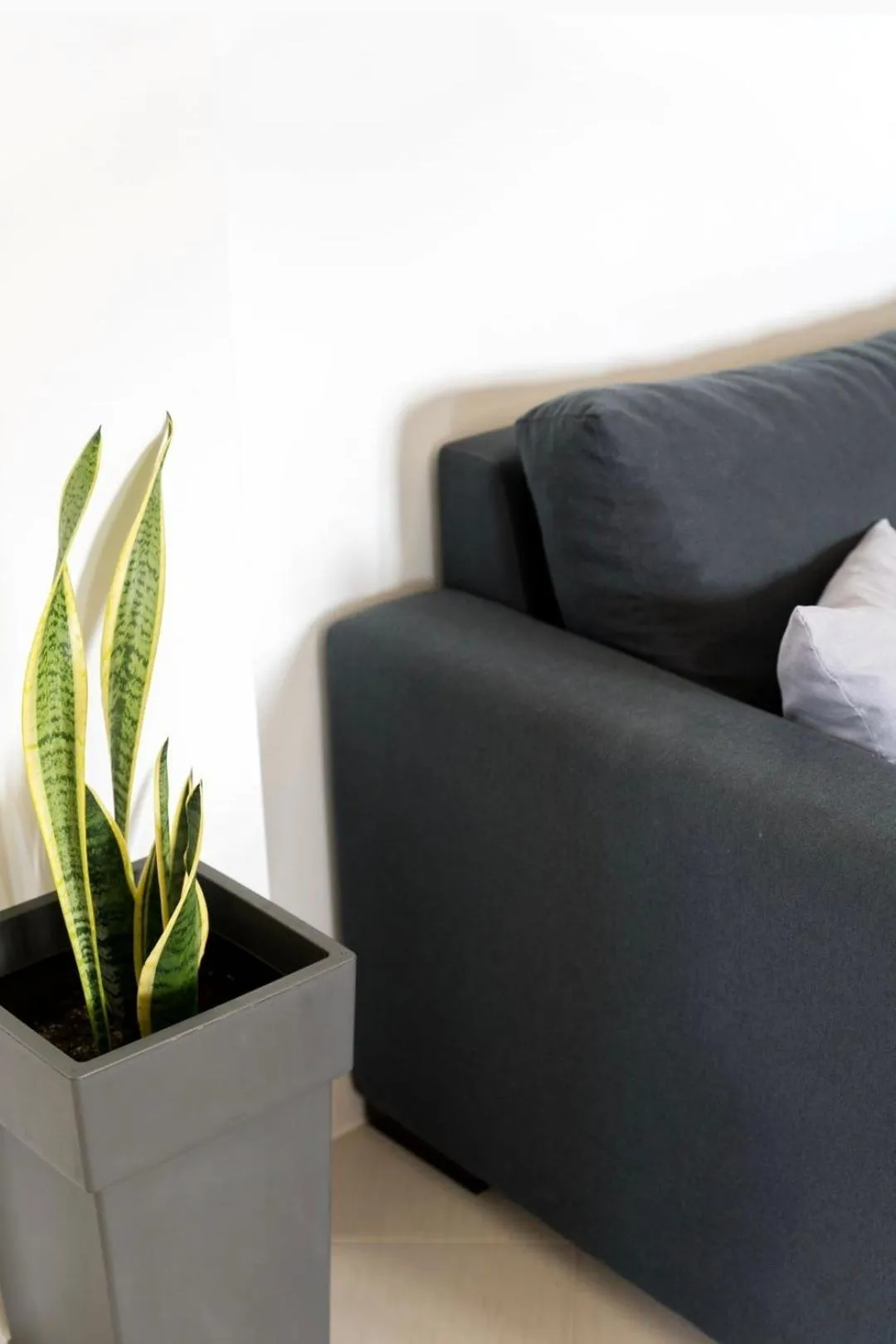 Diwani Luxury Villas