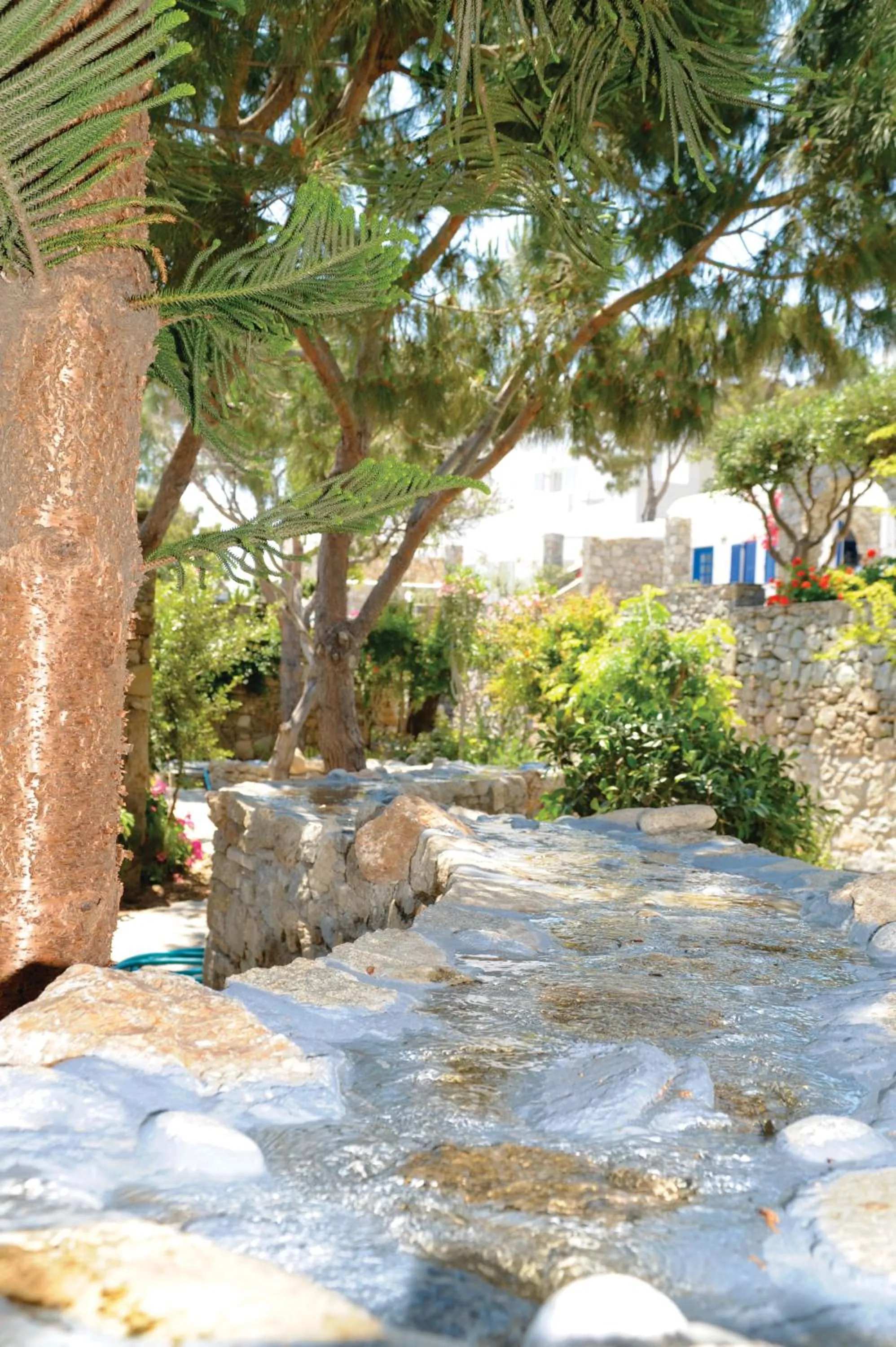 Garden in Kamari Hotel