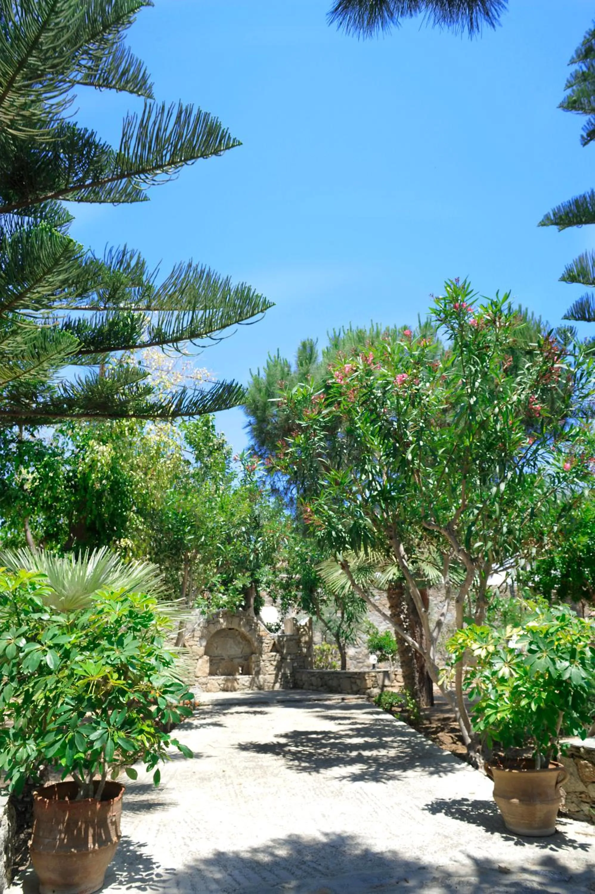Garden in Kamari Hotel
