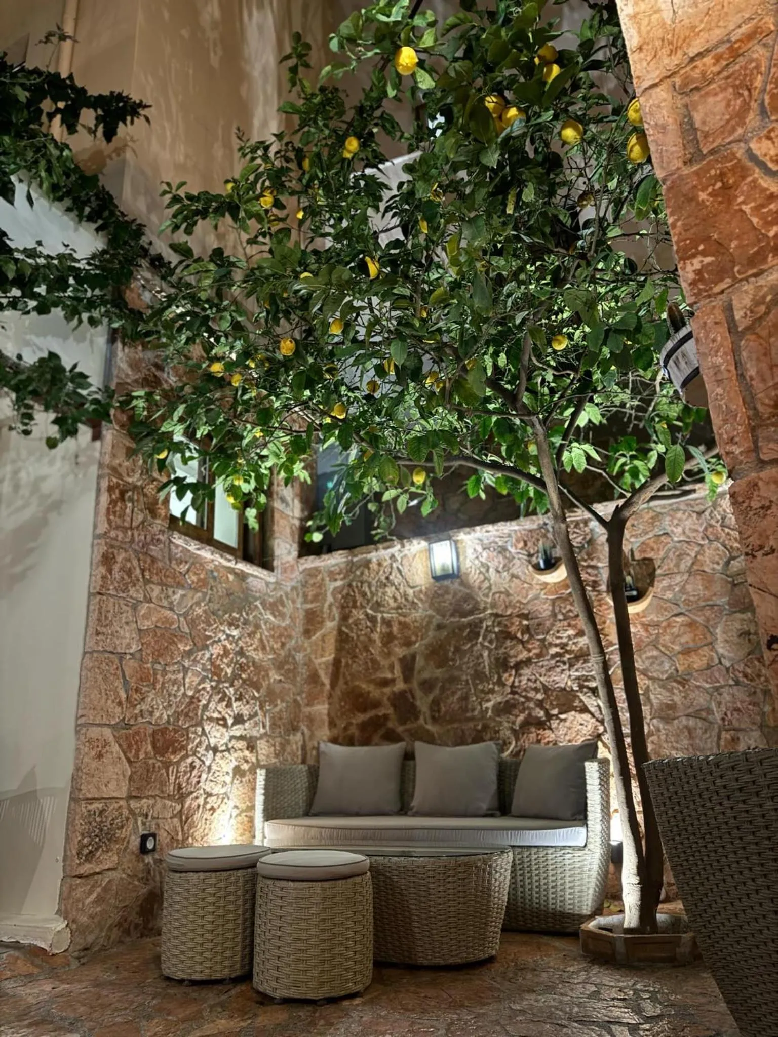 Patio in Pension Dafni