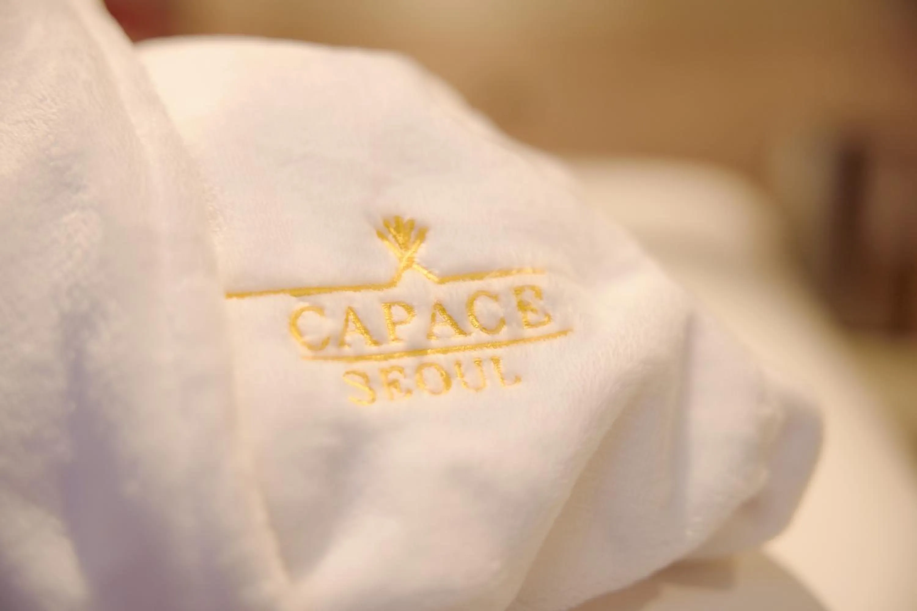 Logo/Certificate/Sign in Capace Hotel Gangnam